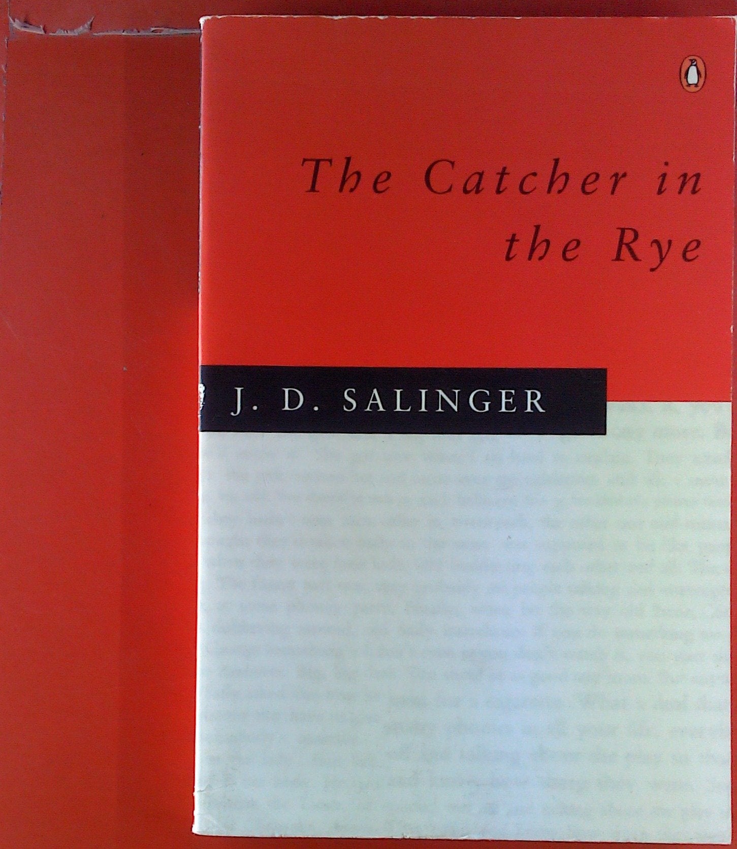 The Catcher in the Rye Contemporary literature