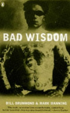 Bad Wisdom: The Lighthouse at the Top of the World book