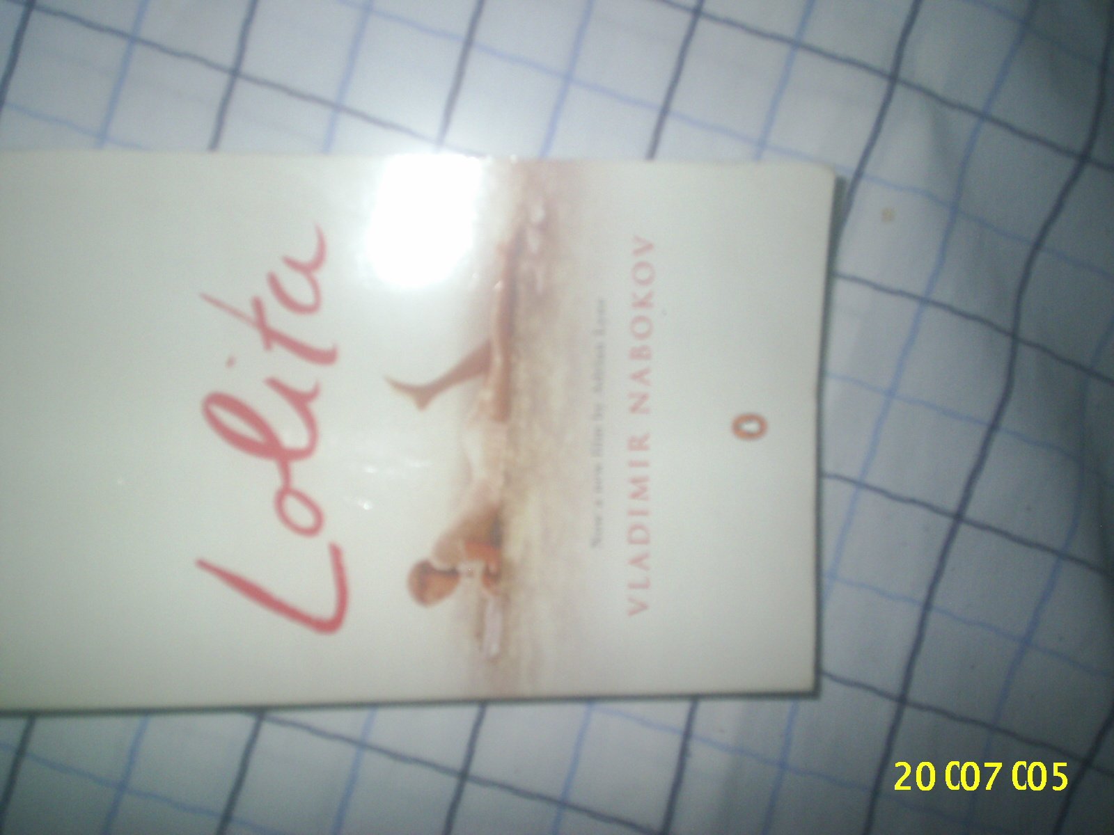 Lolita Contemporary literature