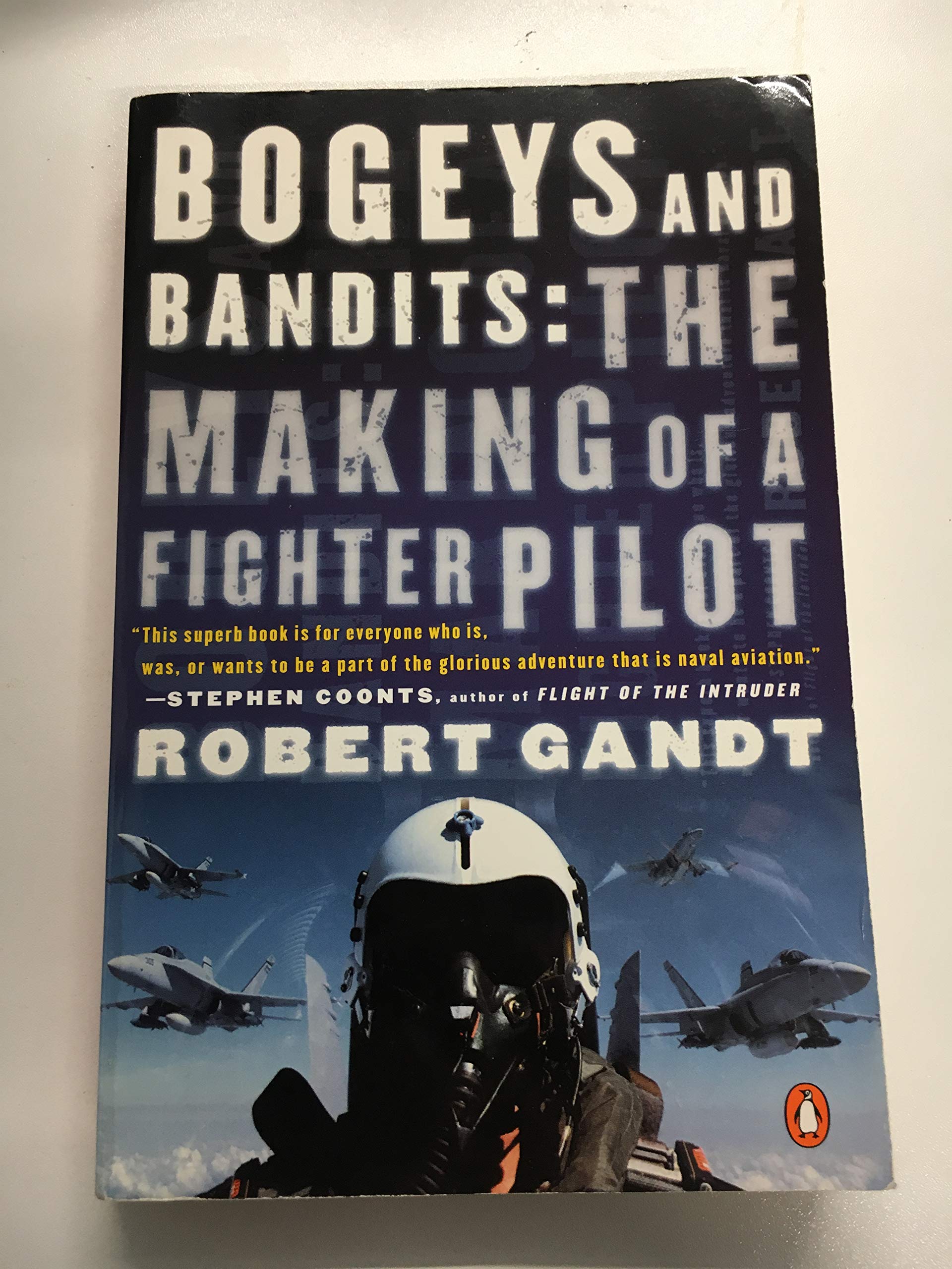 Bogeys And Bandits: The Making of a Fighter Pilot Social Sciences
