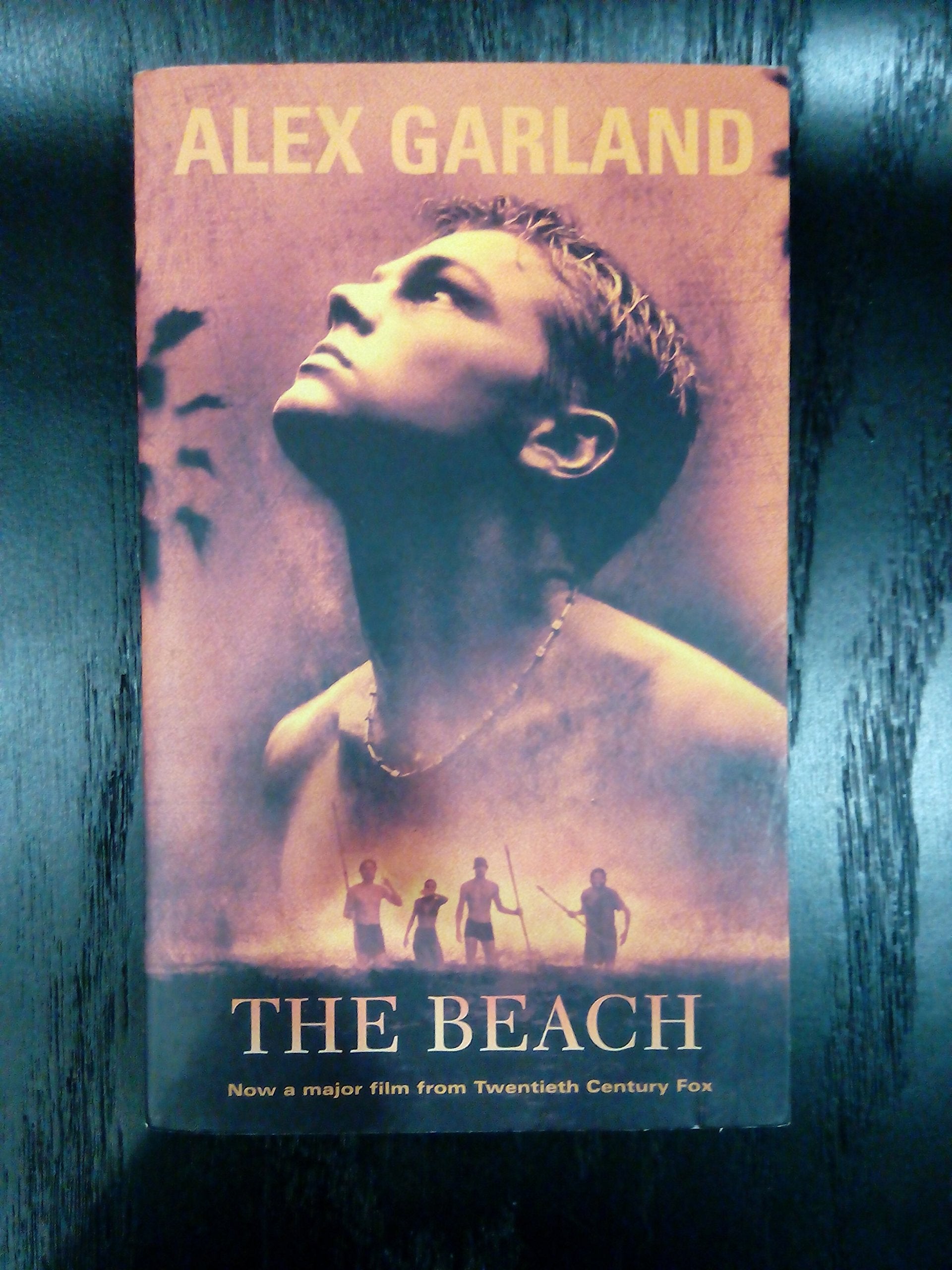 The Beach Contemporary literature Books