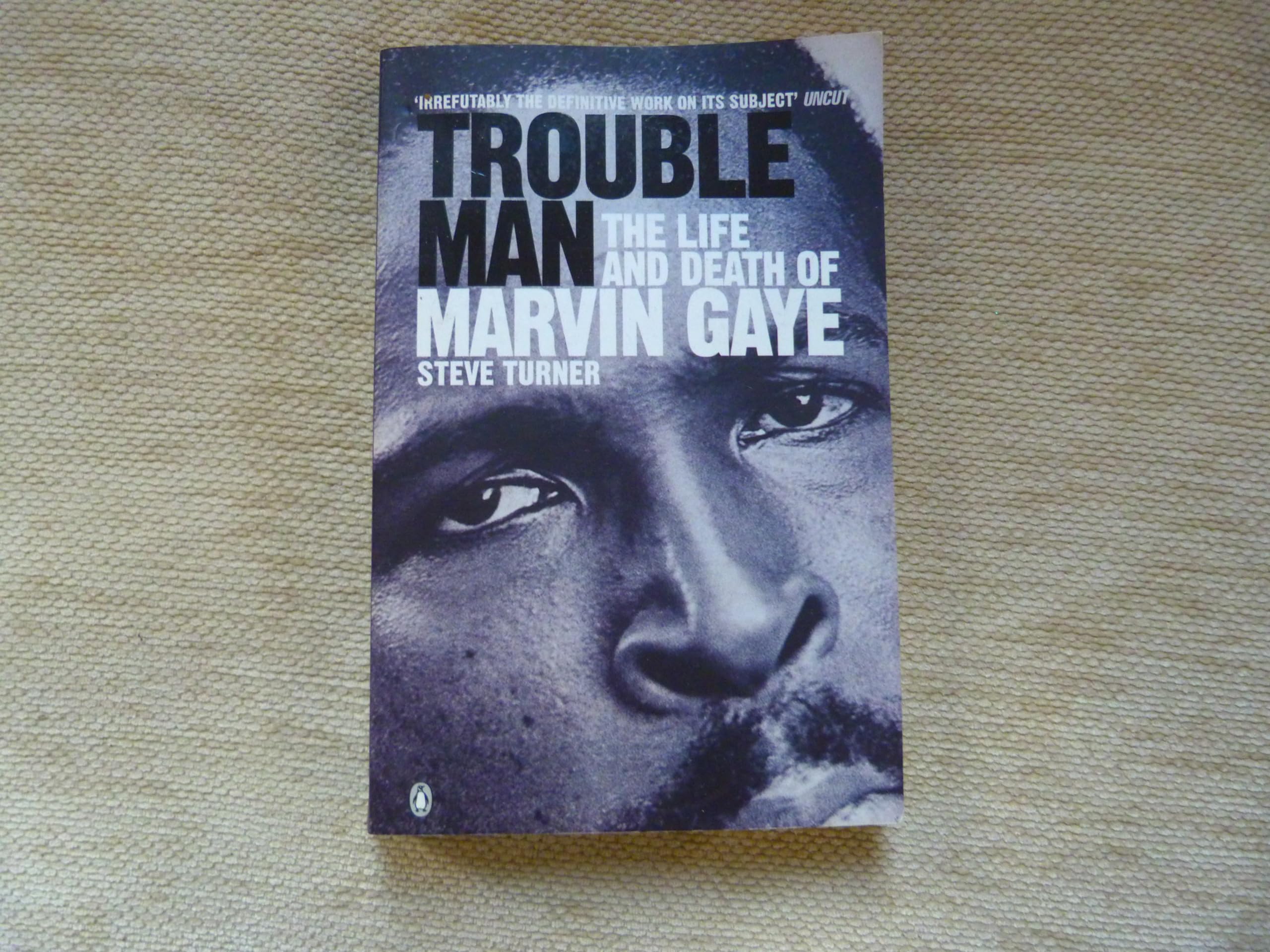 Trouble Man: The Life And Death of Marvin Gaye Pop culture