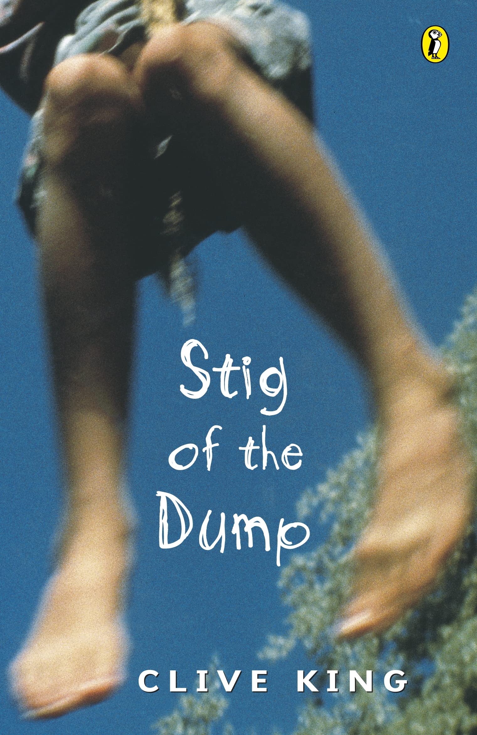 Product Image: Stig of the Dump