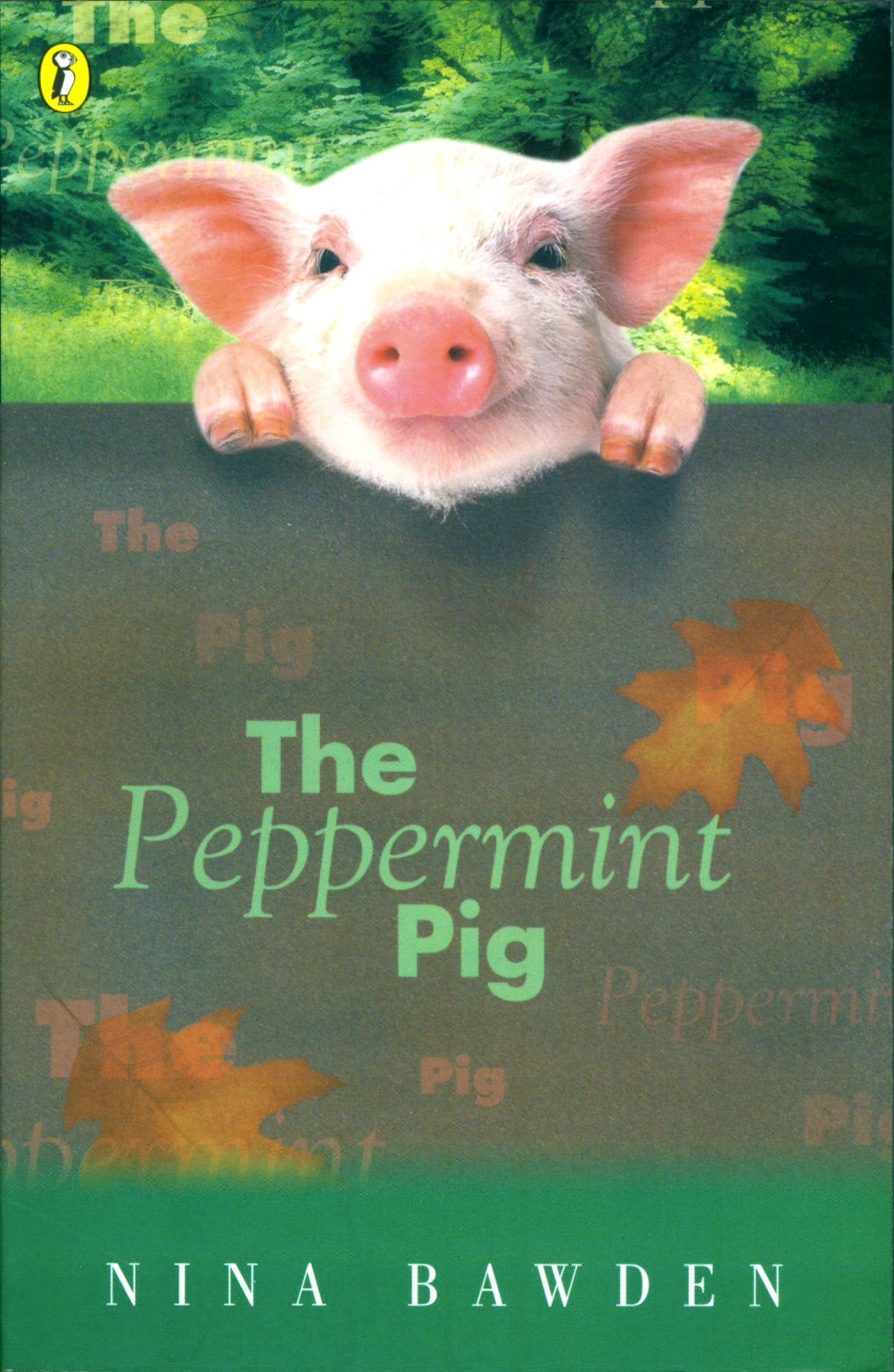 The Peppermint Pig Study Guides Books