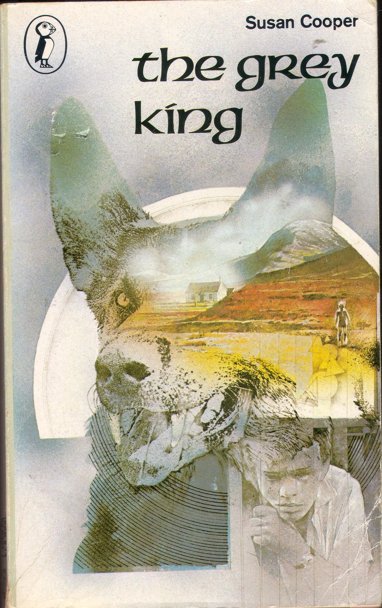 The Grey King: The Dark is Rising sequence Novels & Short Stories for children