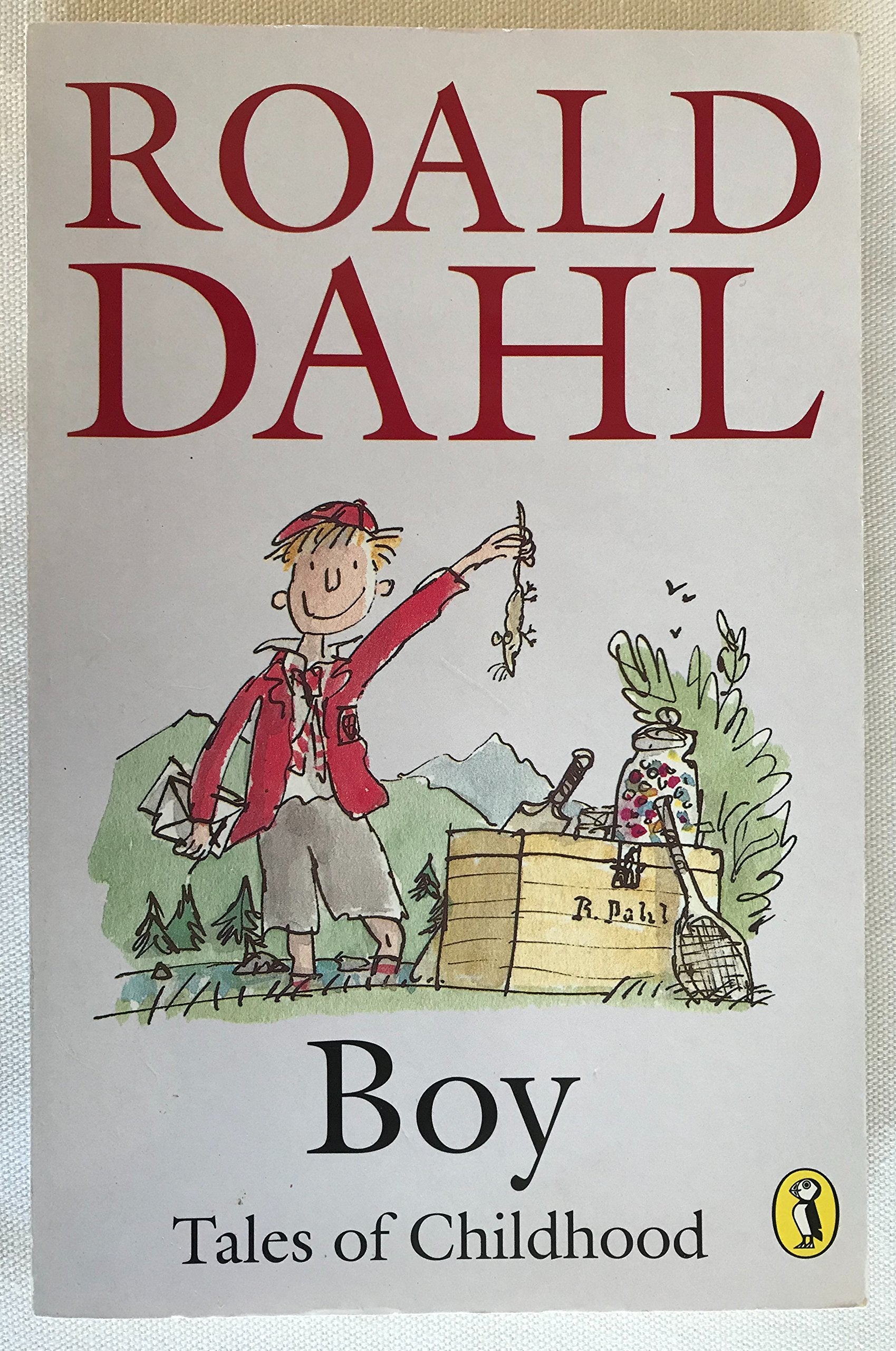 Boy: Tales of Childhood (Puffin Story Books) Novels & Short Stories