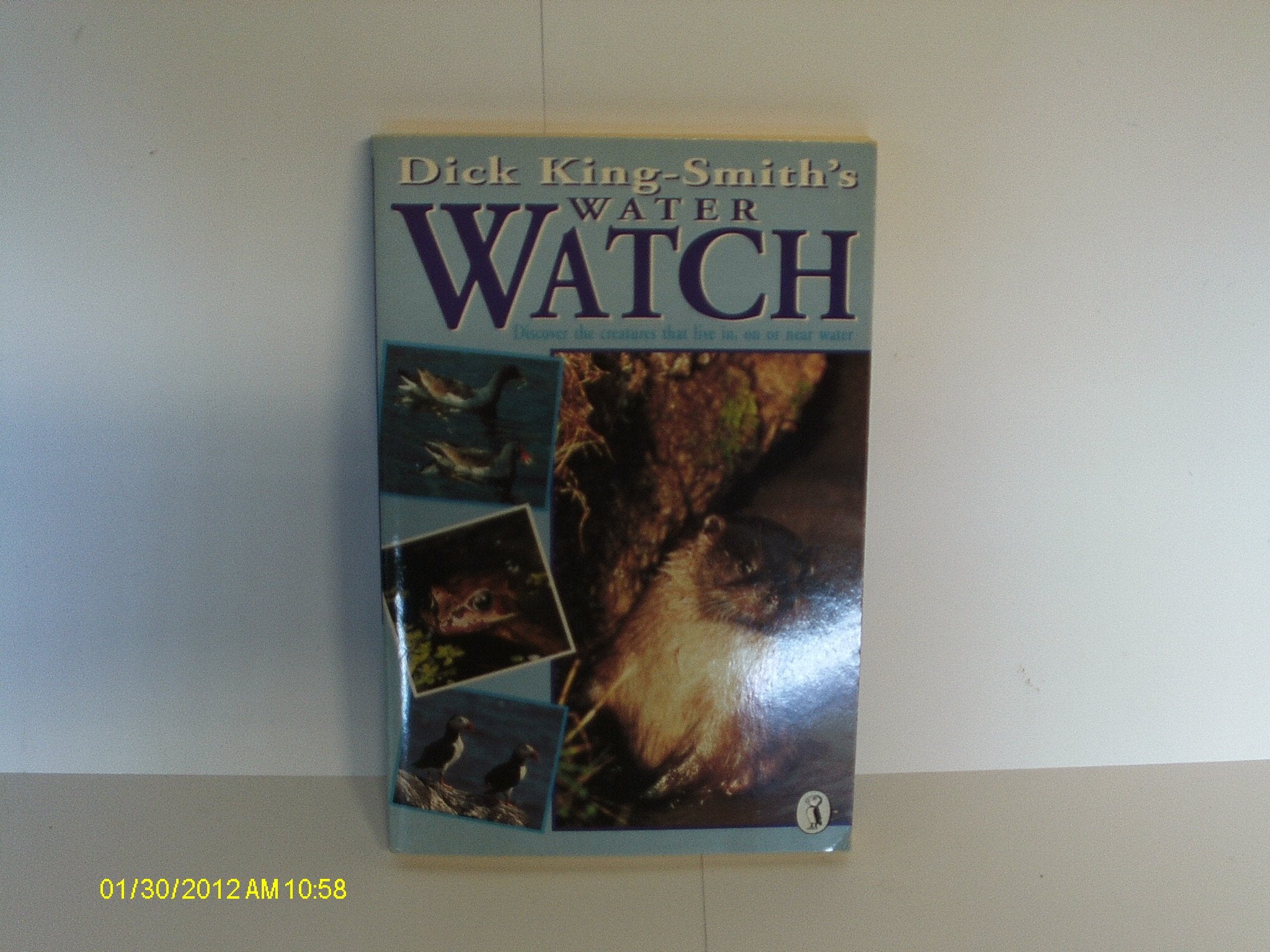 Dick King-Smith's Water Watch: Discover the Creatures That Live in, On or Near Water Natural Sciences