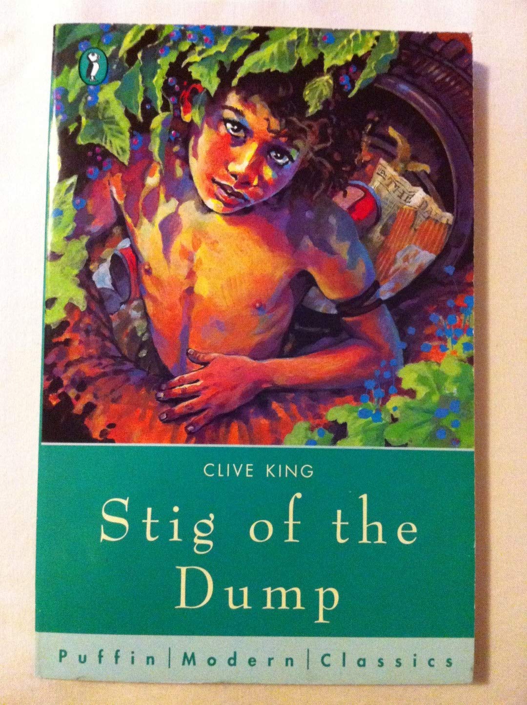 Stig of the Dump Novels & Short Stories for children