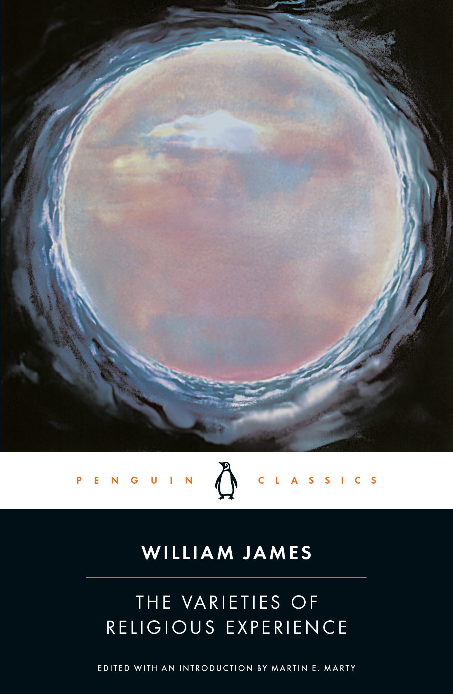 The Varieties of Religious Experience Philosophy