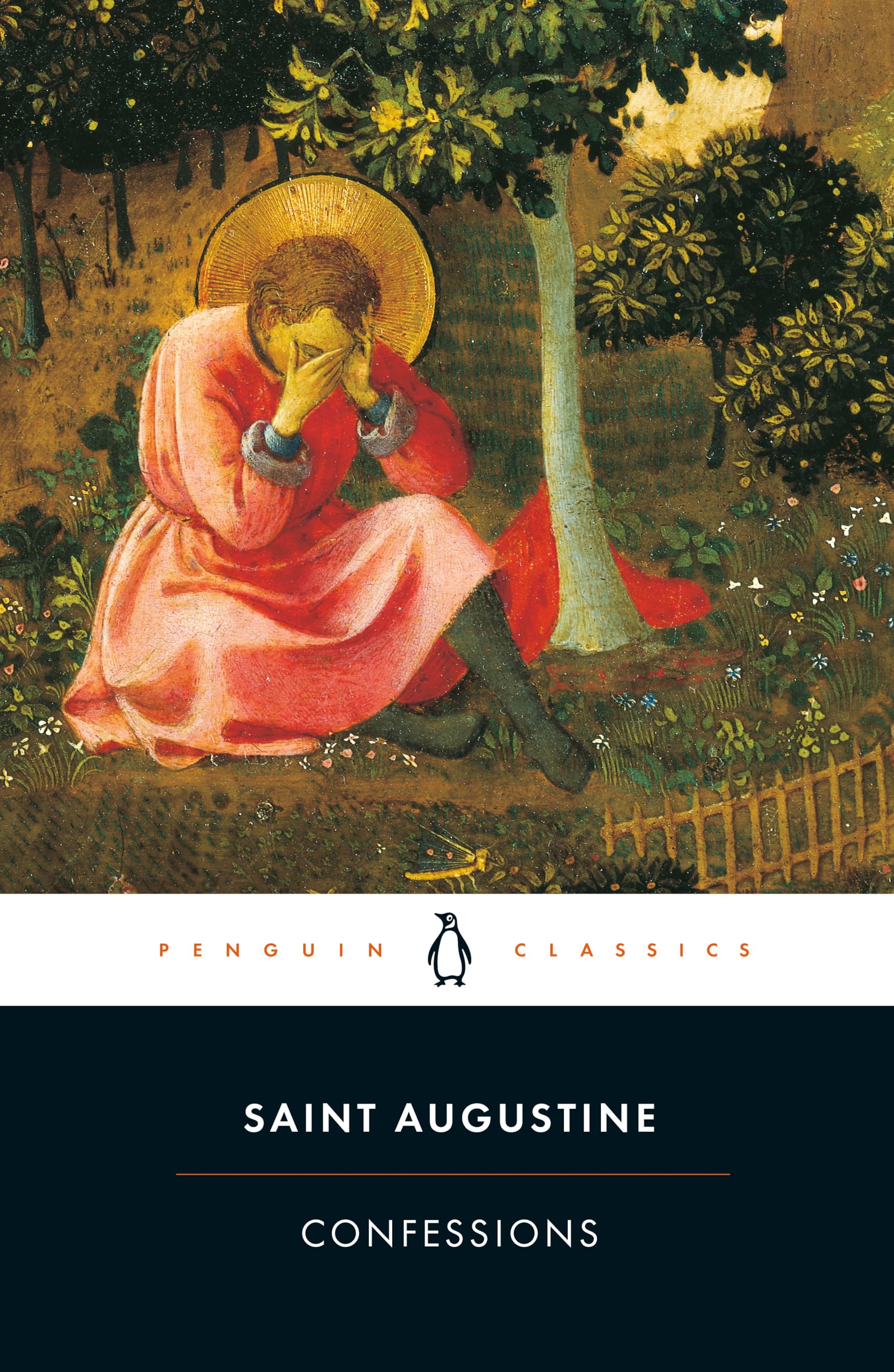 Confessions (Penguin Classics) Social Sciences