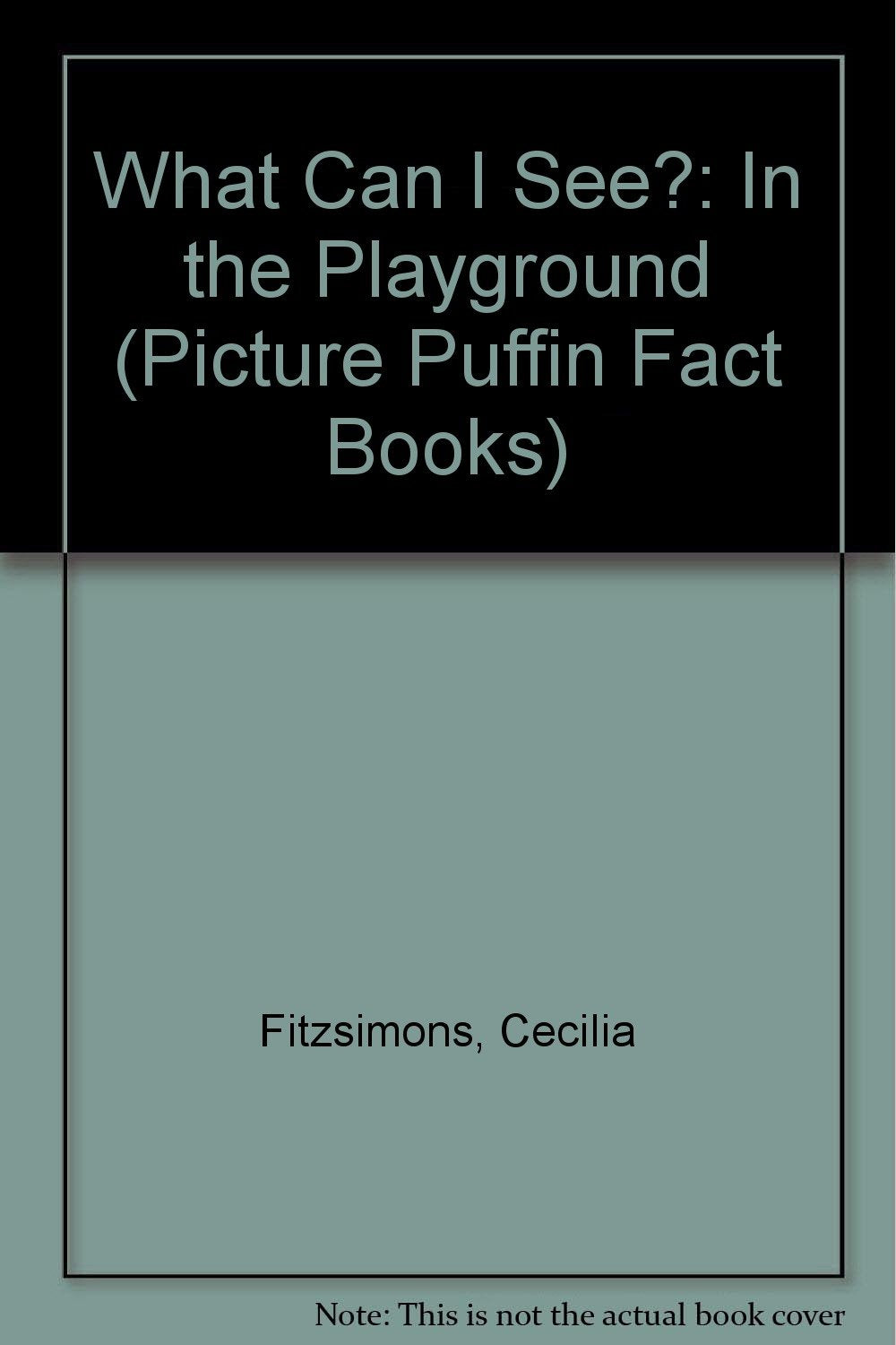What Can I See?: In the Playground (Picture Puffin Fact Books) Non-fiction