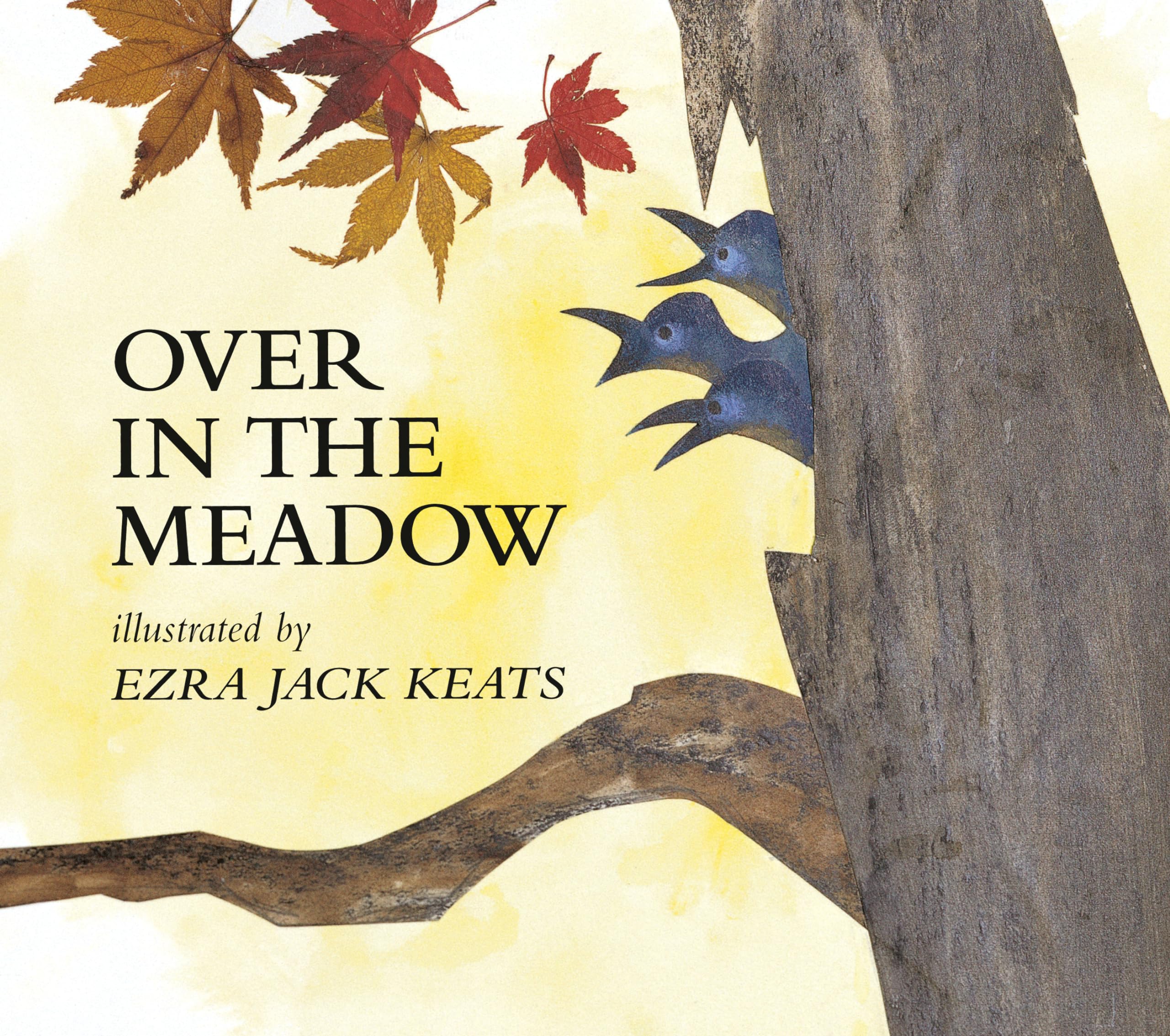 Over in the Meadow (Picture Books) Non-fiction
