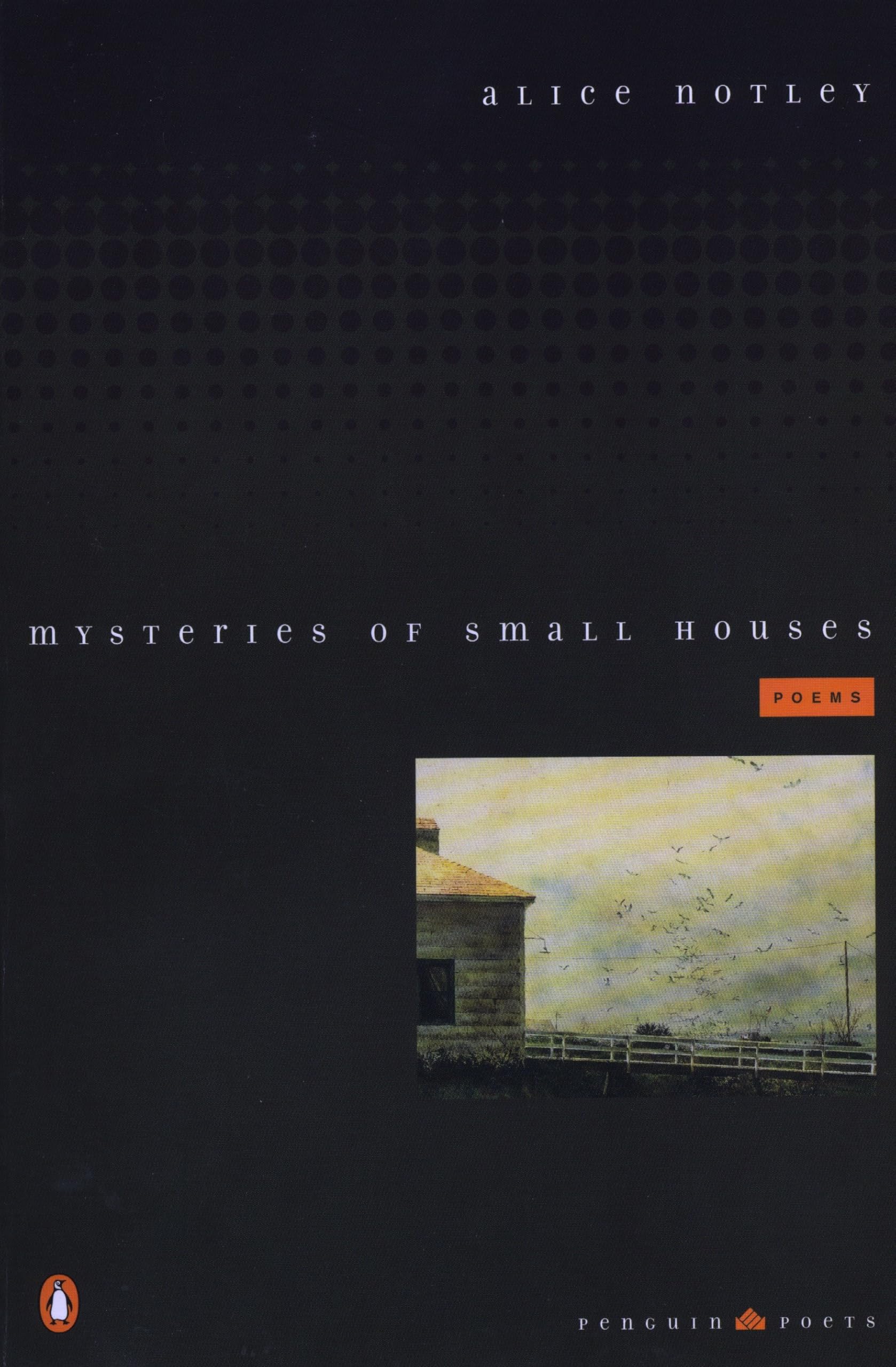 Mysteries of Small Houses Contemporary literature