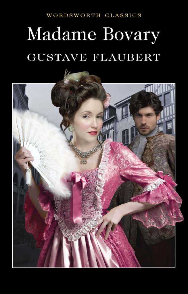 Madame Bovary: A Story of Provincial Life Classics