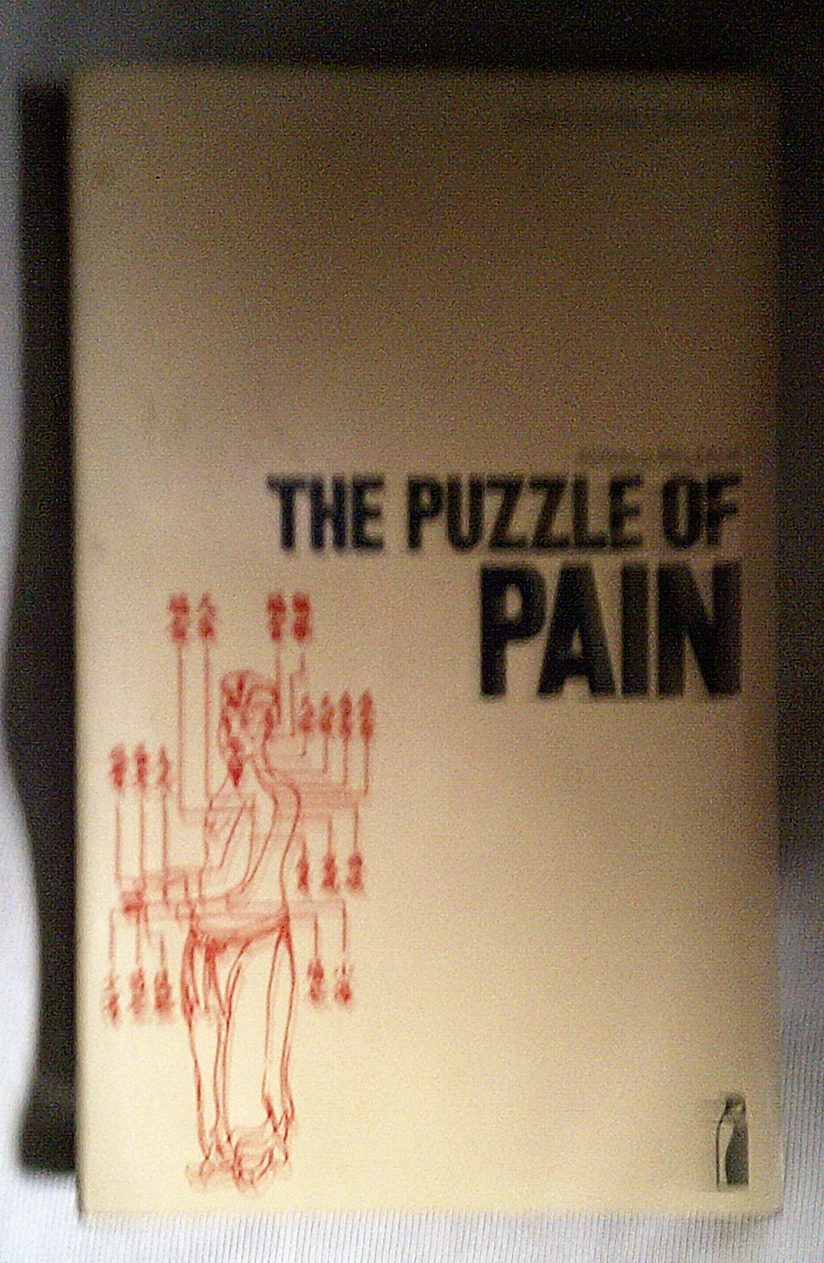 The Puzzle of Pain book