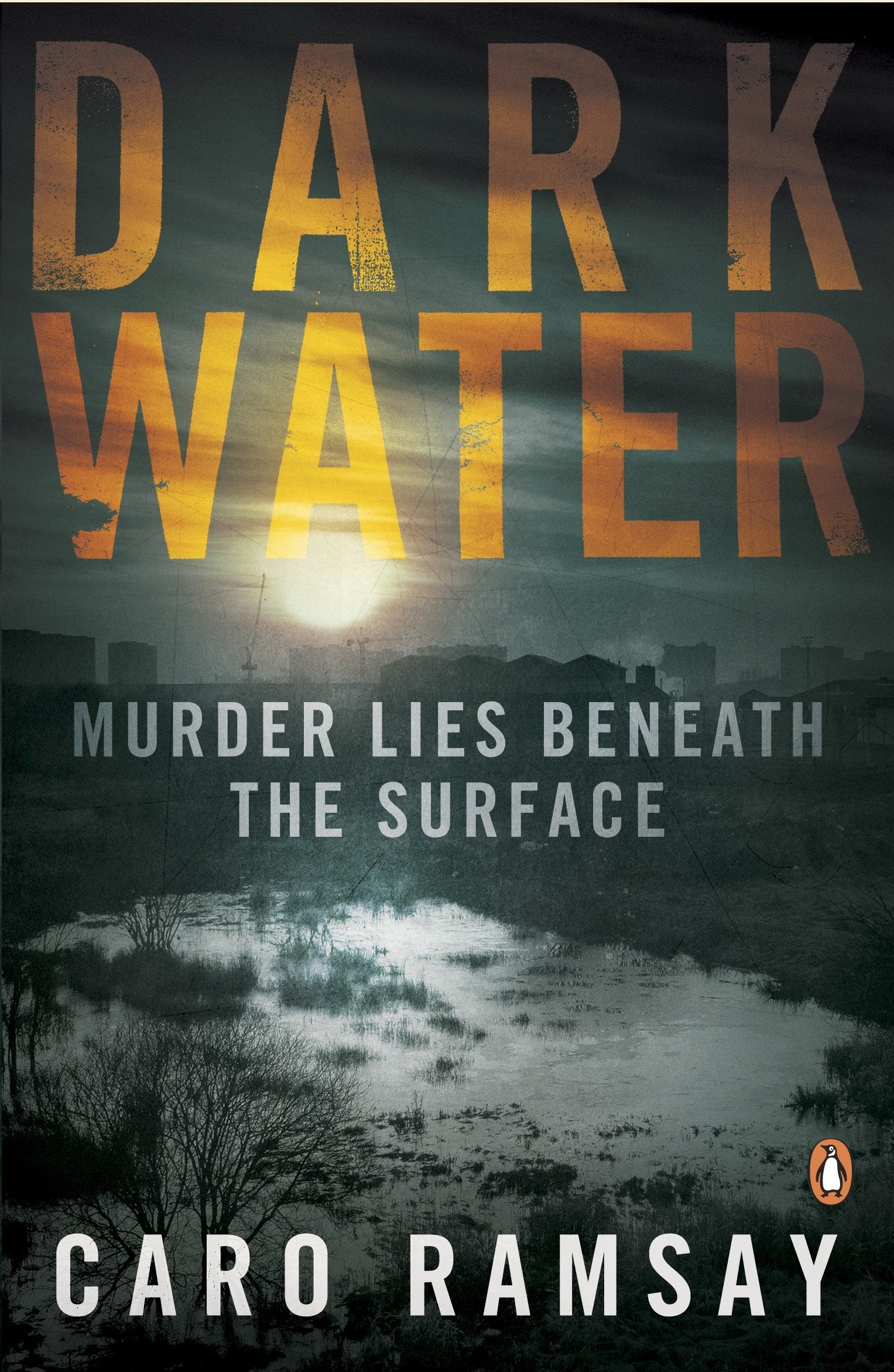 Dark Water: An Anderson and Costello Thriller Contemporary literature