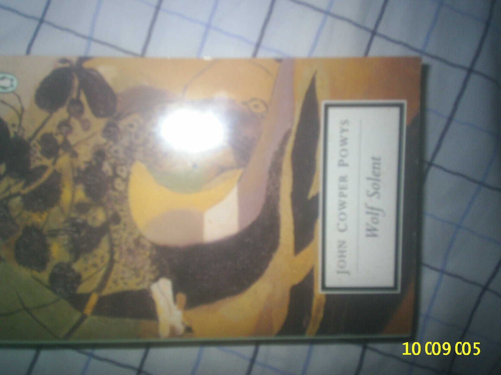 Wolf Solent Contemporary literature Books