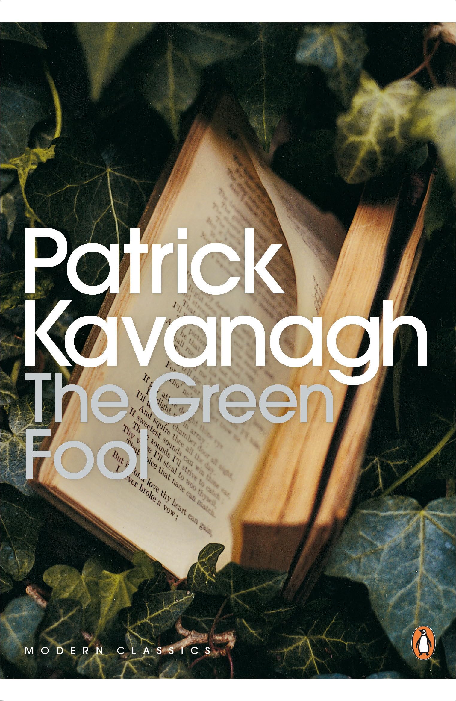 The Green Fool Contemporary literature Books