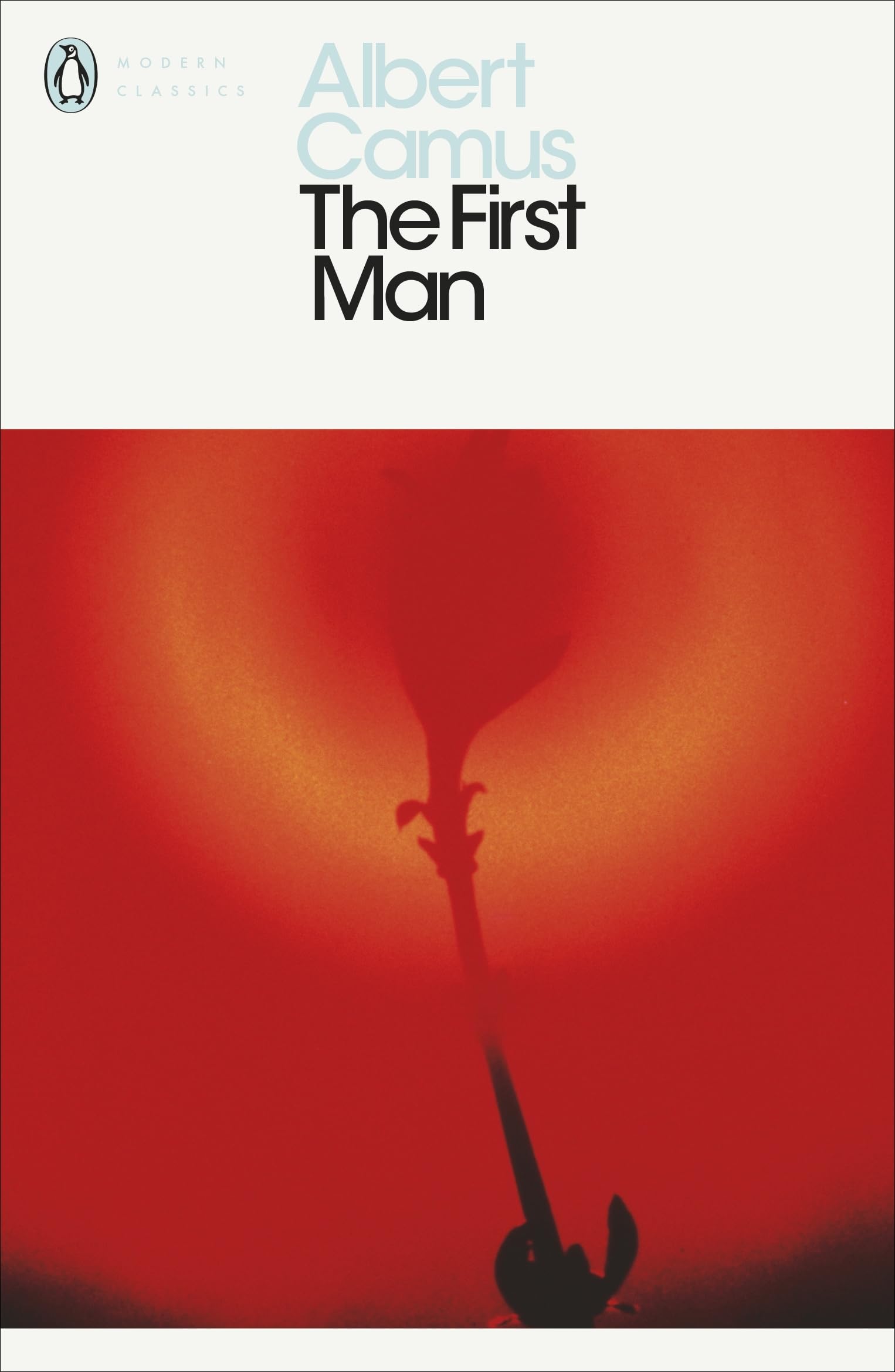 The First Man Contemporary literature Books
