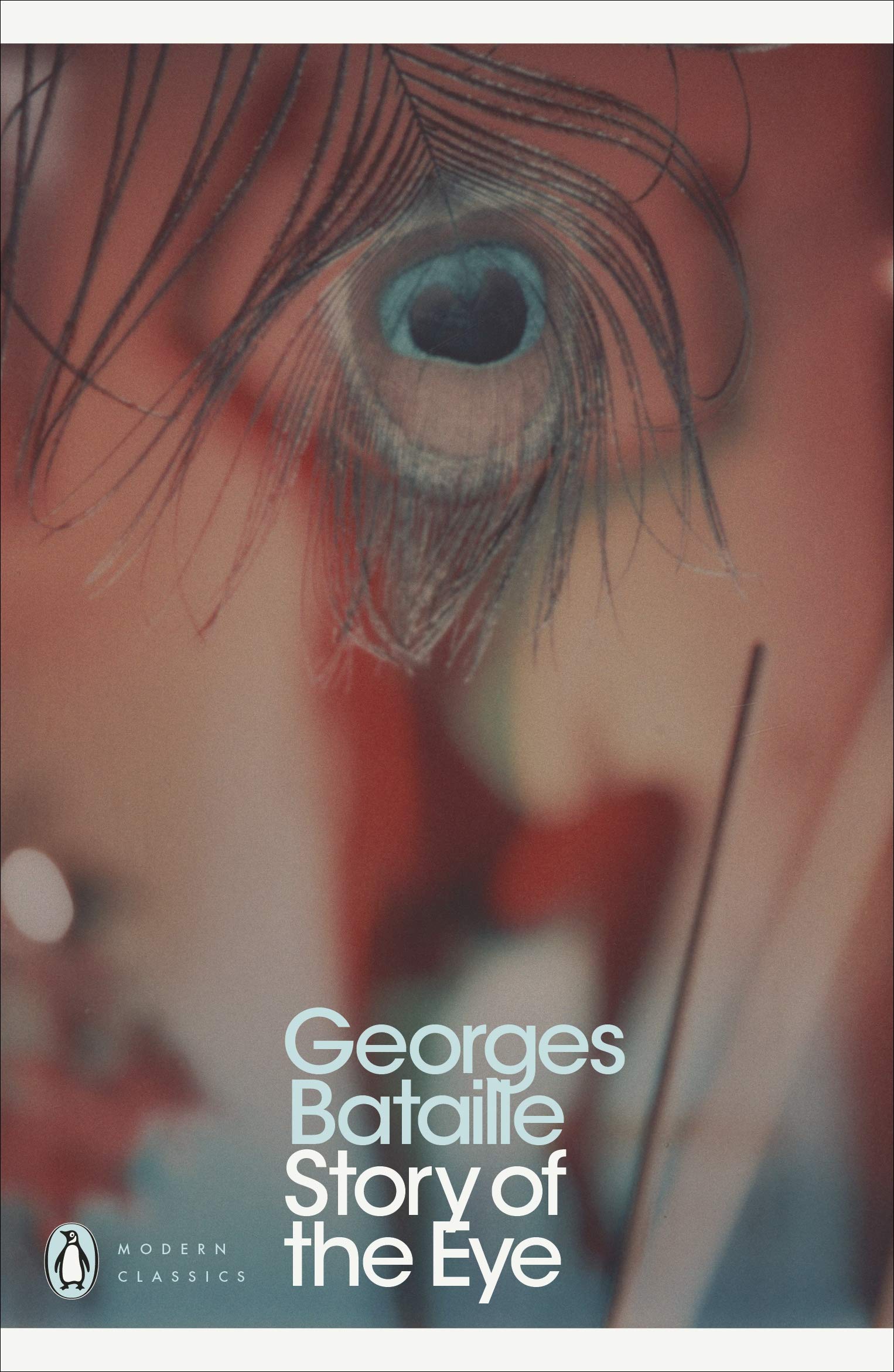 Story of the Eye Contemporary literature