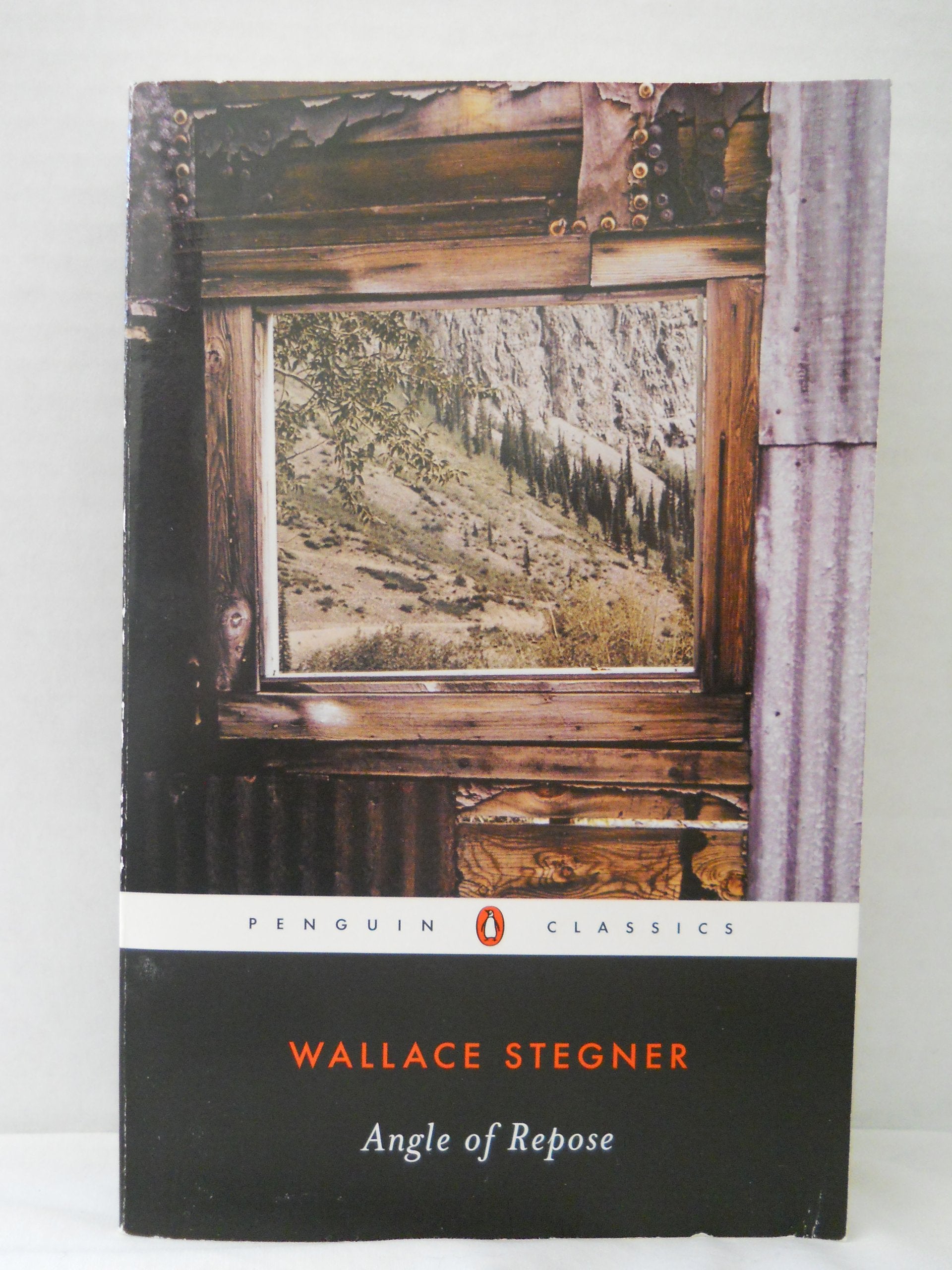 Angle of Repose (Penguin Twentieth-Century Classics) Classics