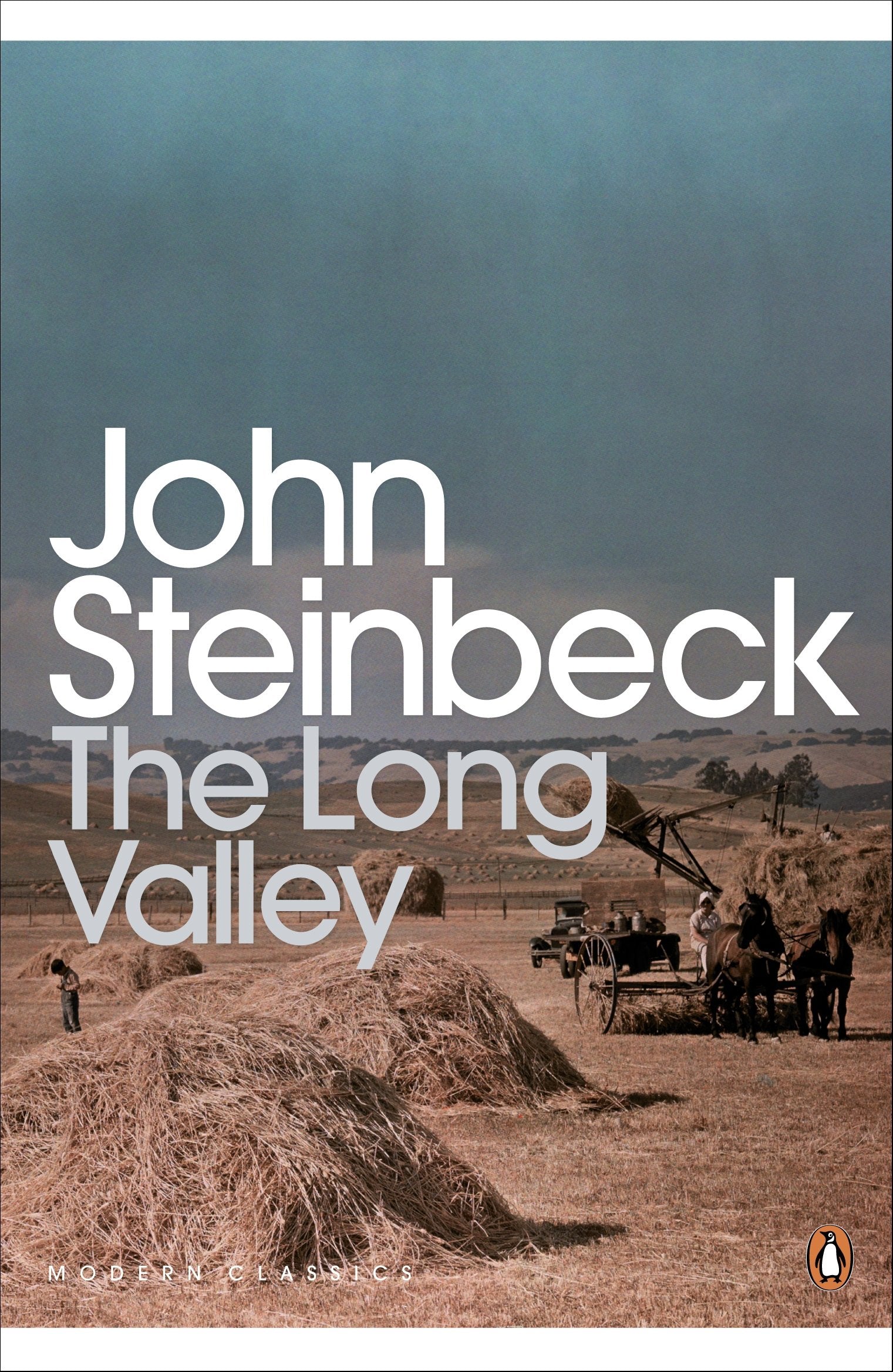 The Long Valley Essays & Short Stories