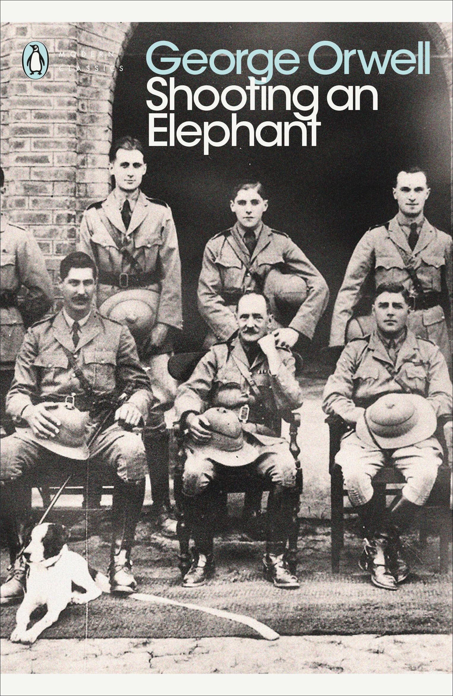 Product Image: Shooting an Elephant