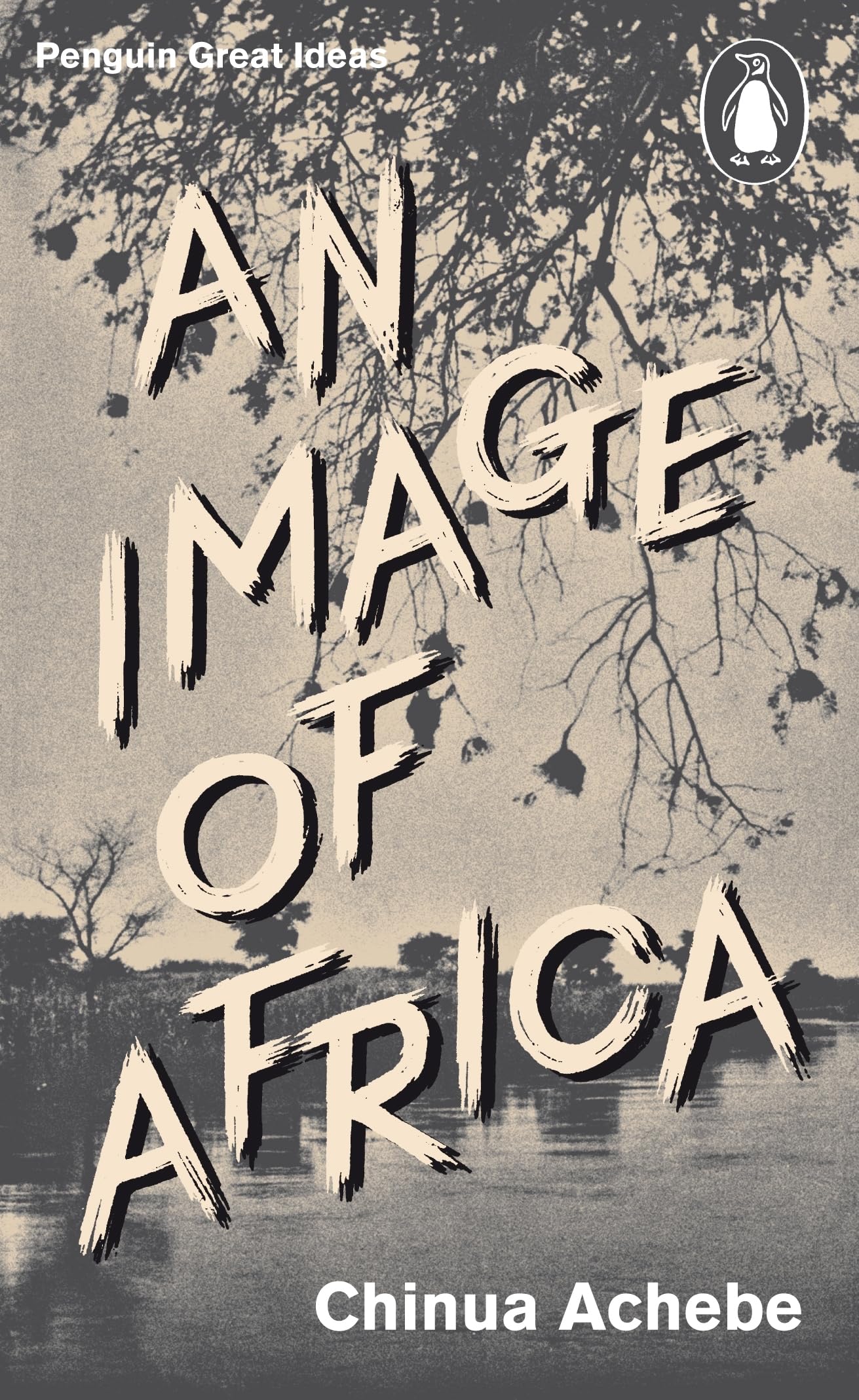 An Image of Africa: Chinua Achebe (Penguin Great Ideas) Books