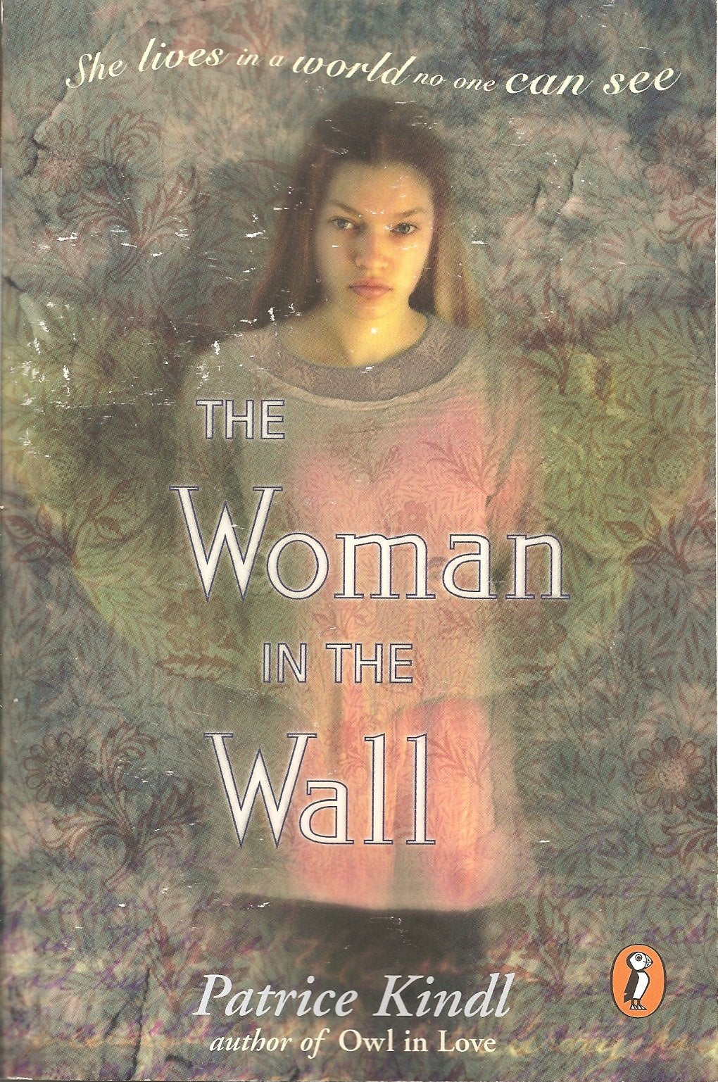 The Woman in the Wall Fiction