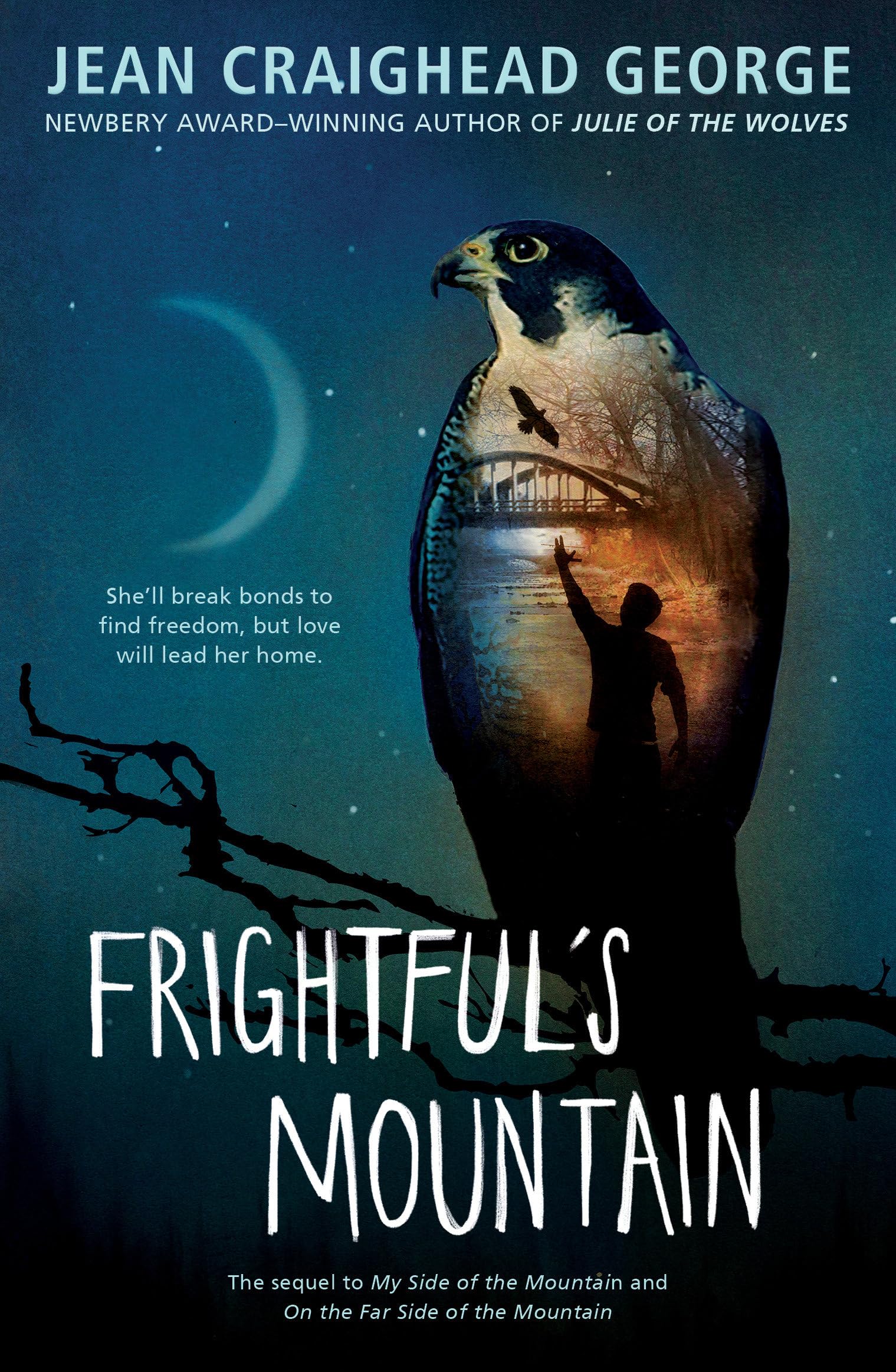 Frightful's Mountain book