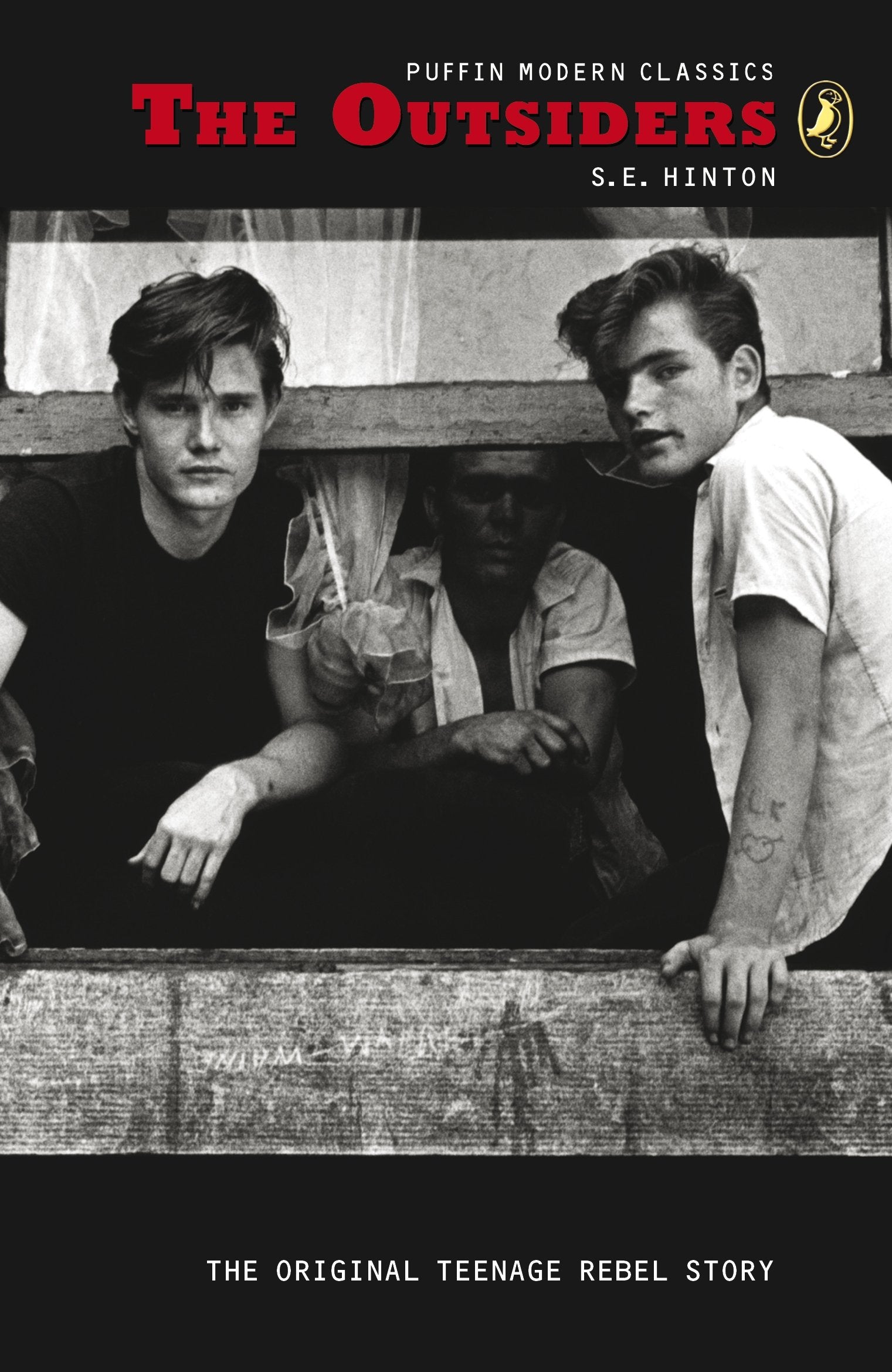 Product Image: The Outsiders (Puffin Modern Classics, Band 31)