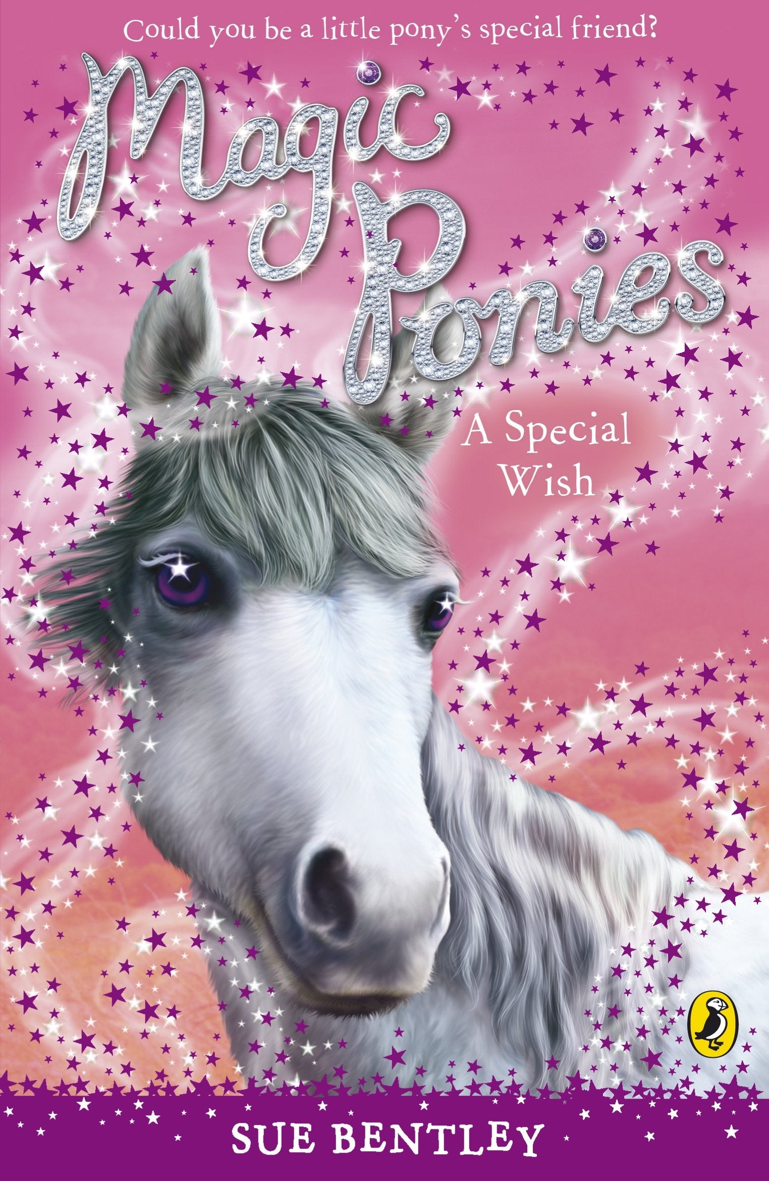 Magic Ponies: A Special Wish Novels & Short Stories