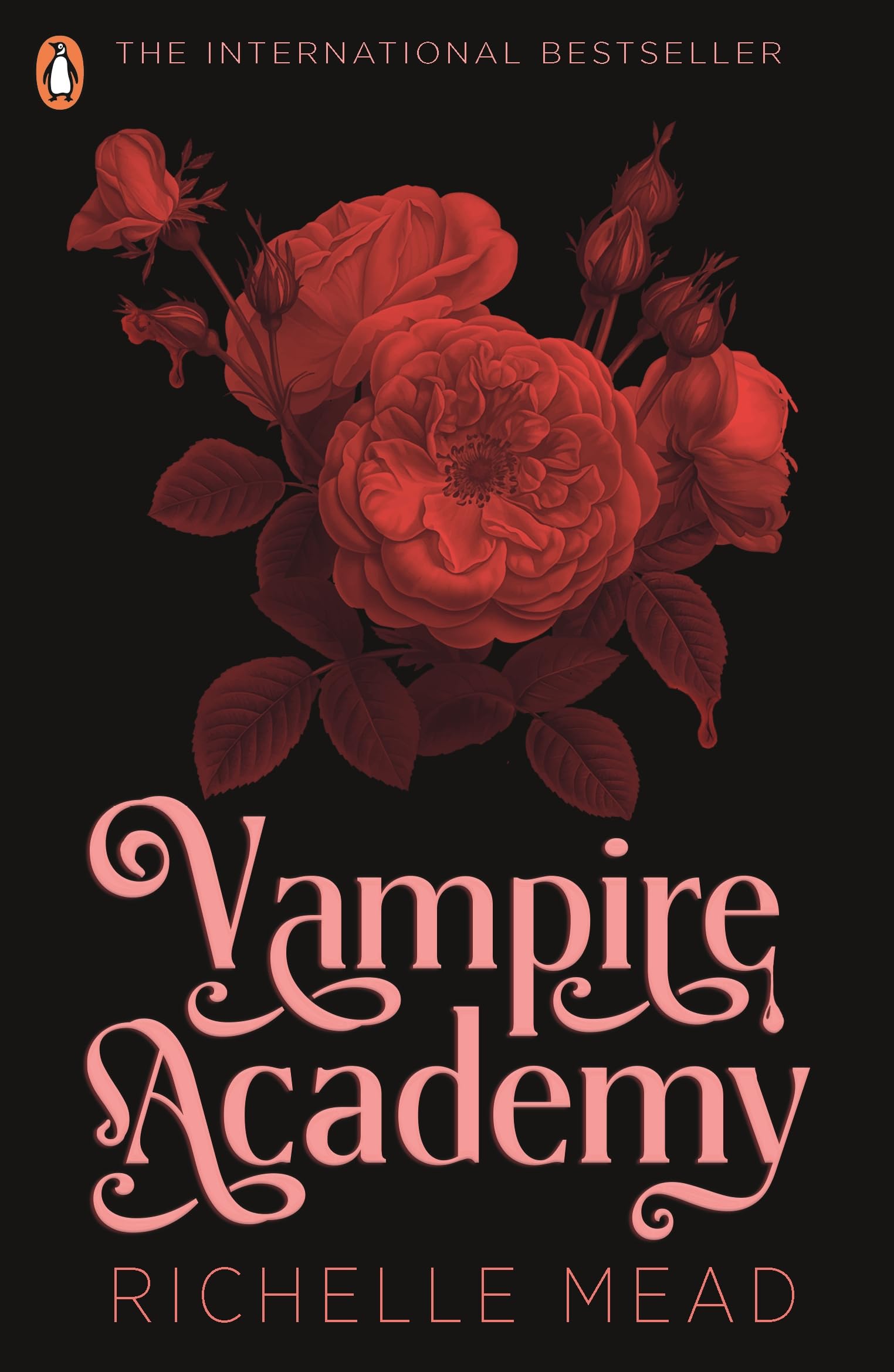Product Image: Vampire Academy (book 1)