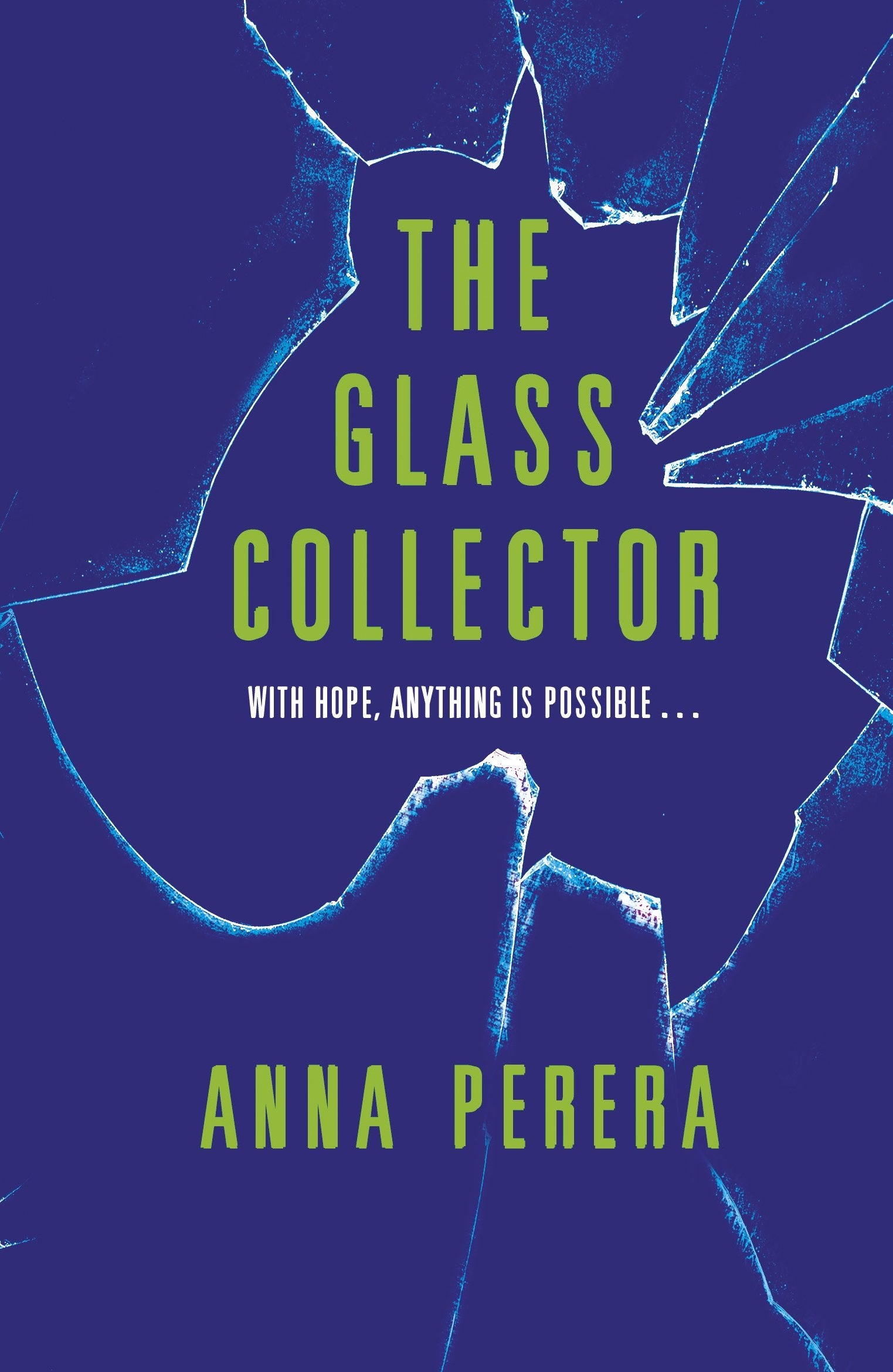 Product Image: The Glass Collector