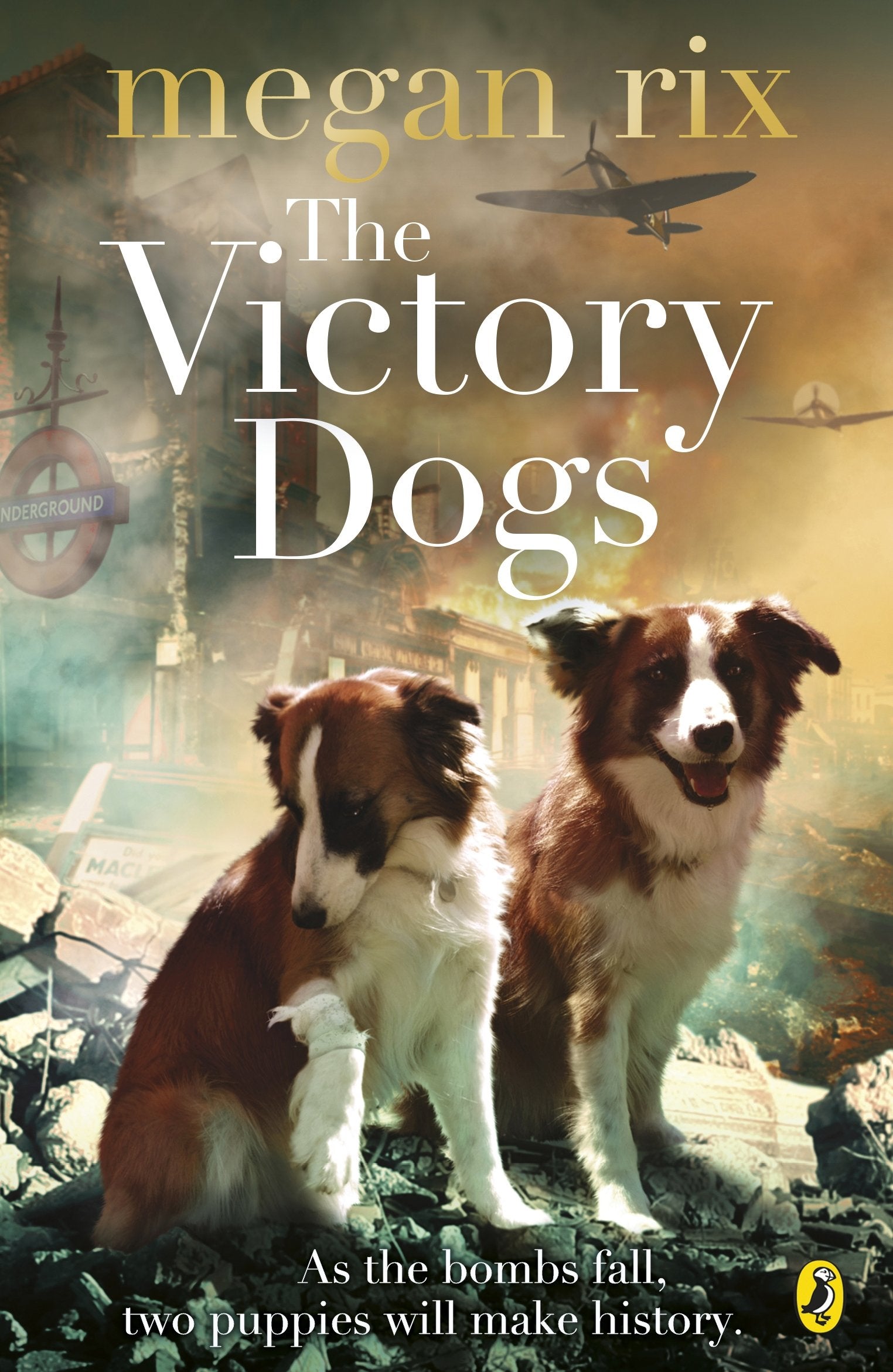 Product Image: The Victory Dogs