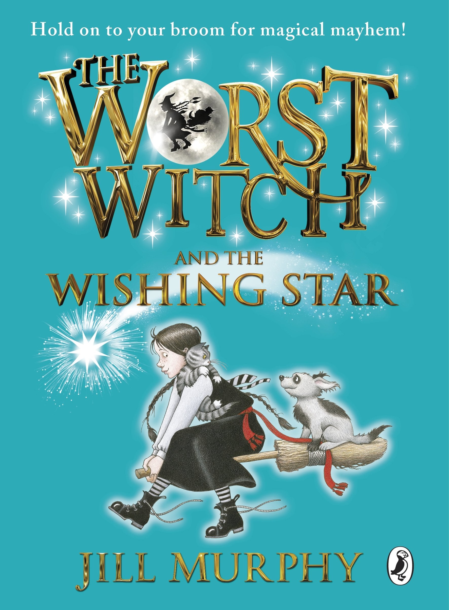 The Worst Witch and The Wishing Star book