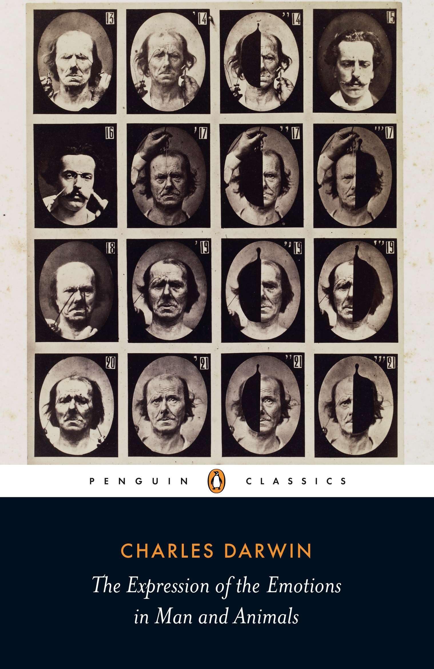 The Expression of the Emotions in Man and Animals (Penguin Classics) Social Sciences