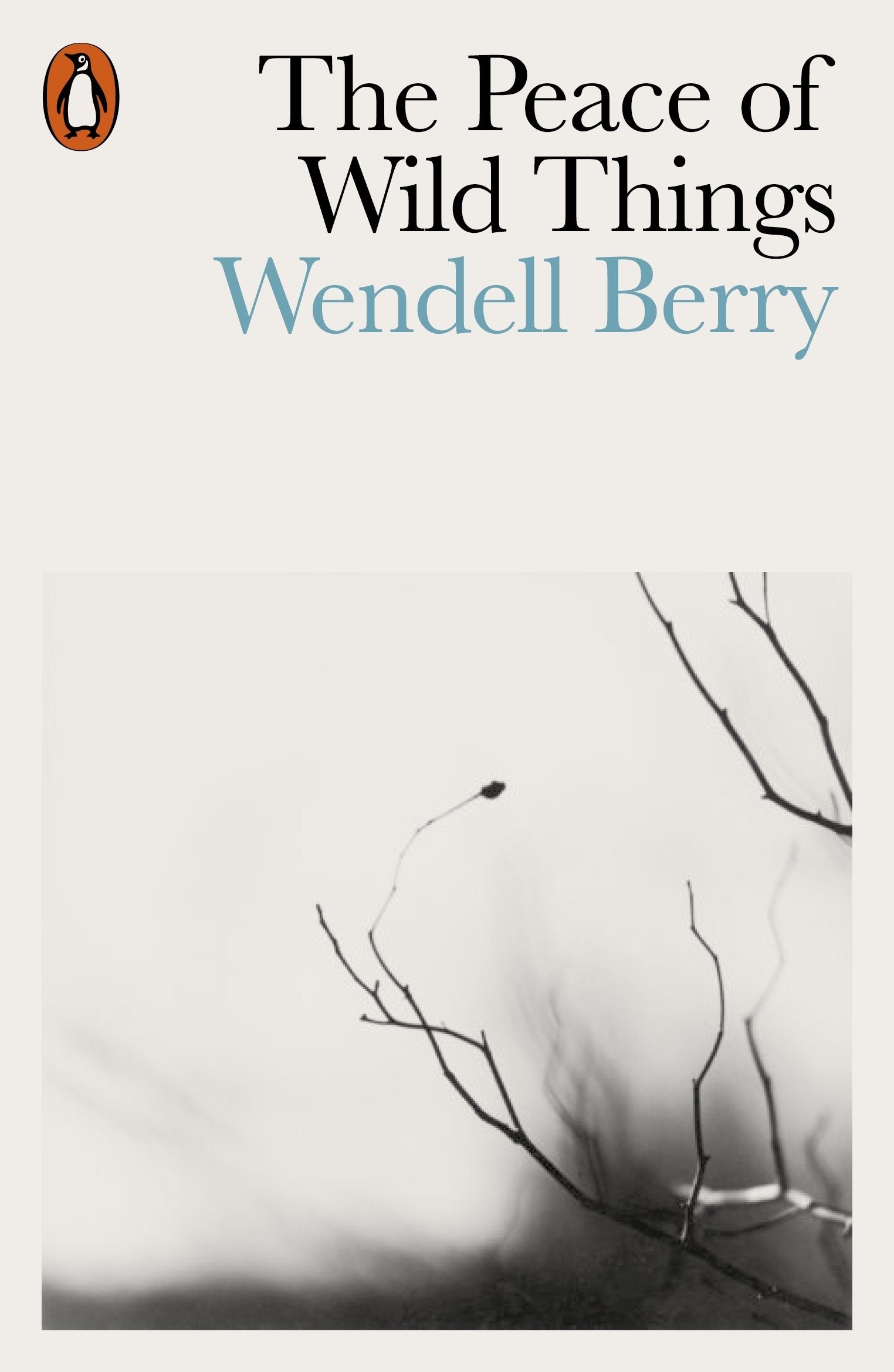 The Peace of Wild Things: And Other Poems Calendars