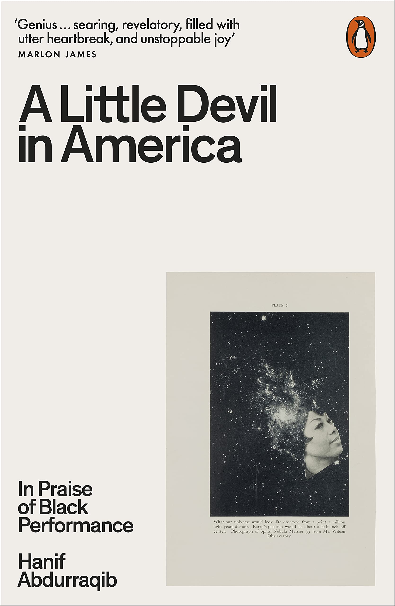 A Little Devil in America Social Sciences