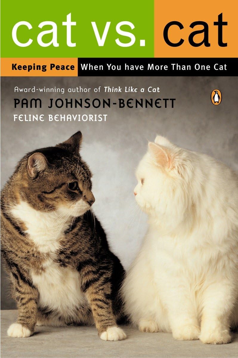 Cat vs. Cat: Keeping Peace When You Have More Than One Cat Pets
