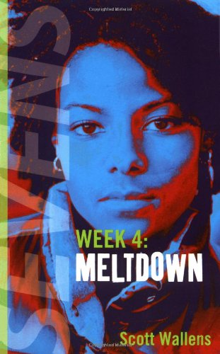 Meltdown: Week 4 book