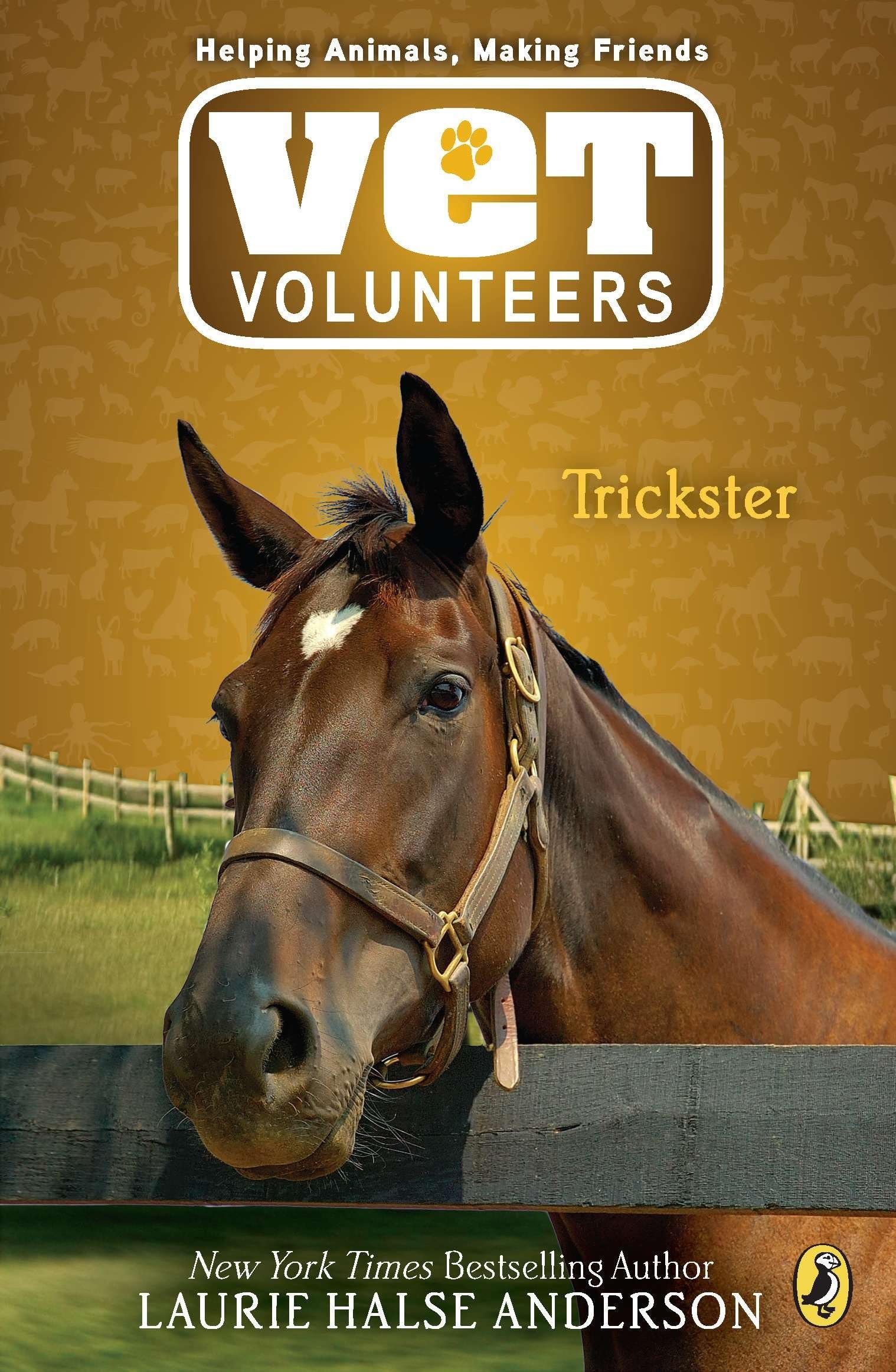 Trickster (Vet Volunteers, Band 3) Non-fiction