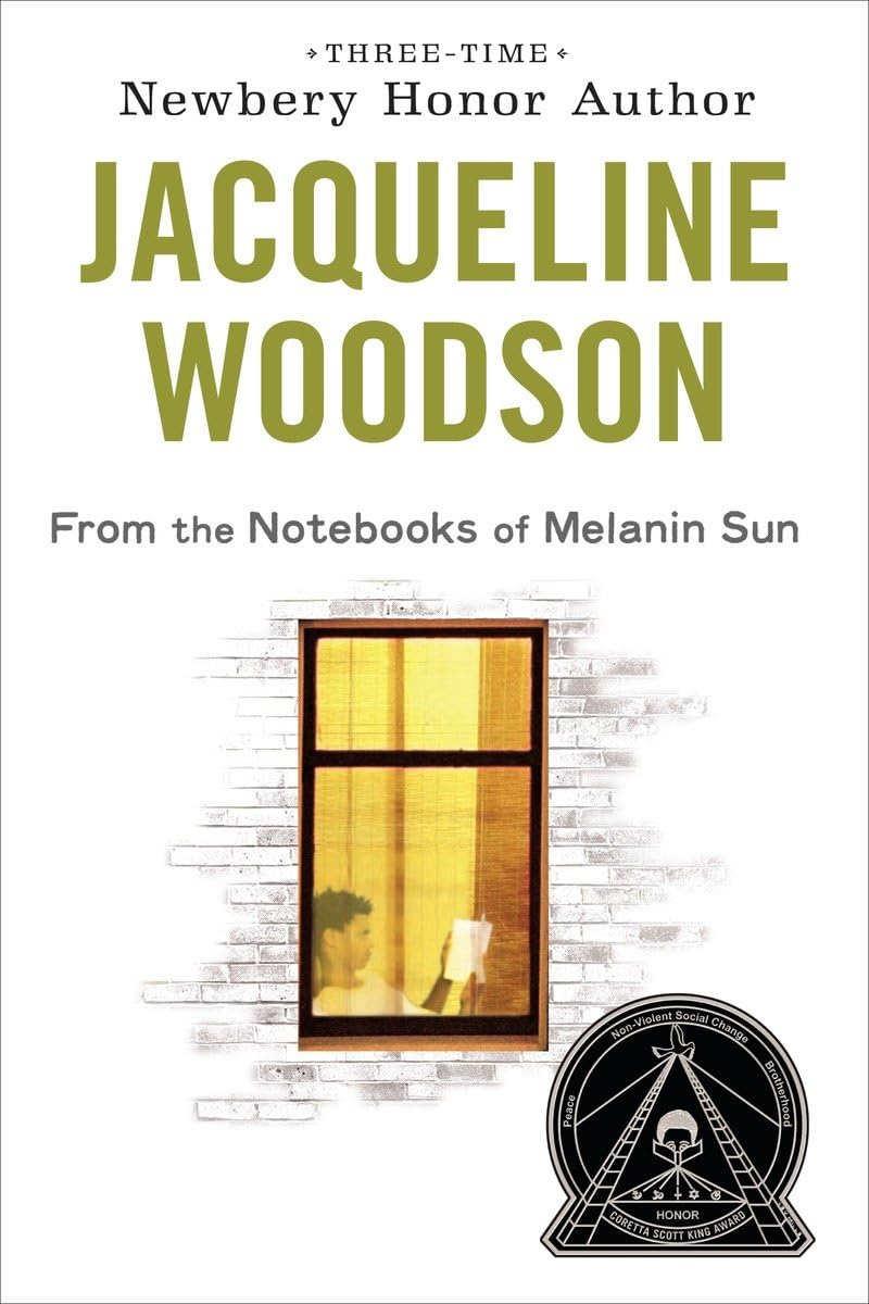 From the Notebooks of Melanin Sun book