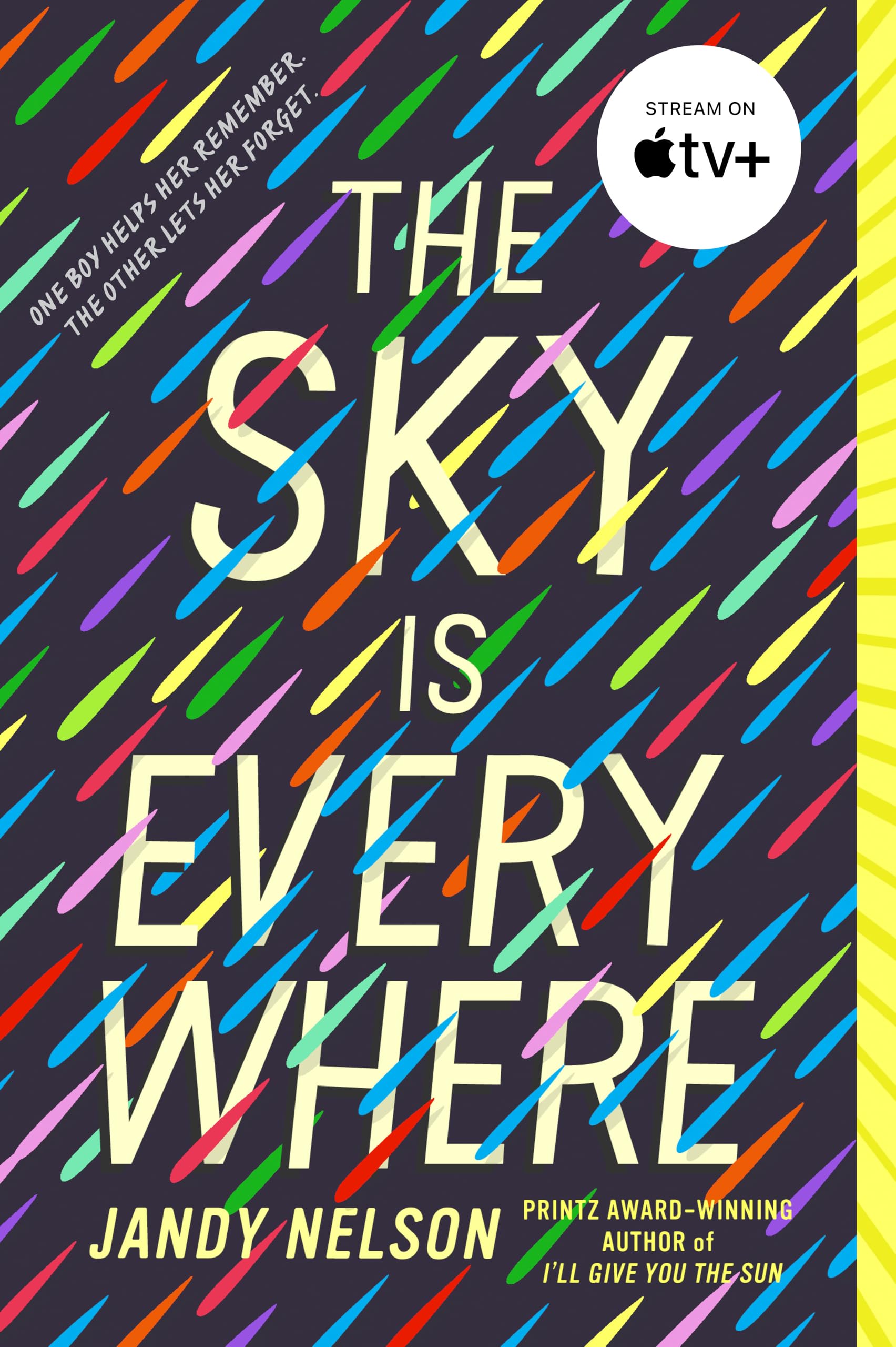 The Sky Is Everywhere Contemporary literature Books