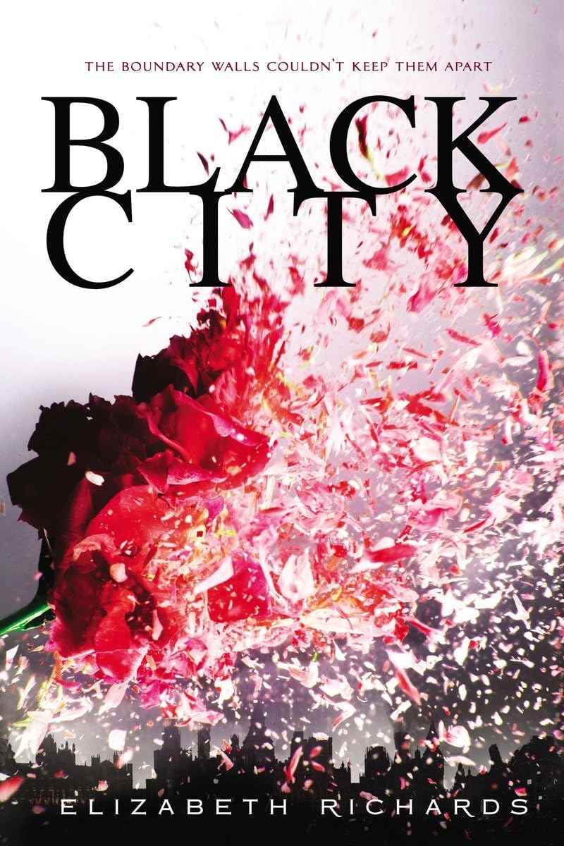 Black City (A Black City Novel, Band 1) Romance