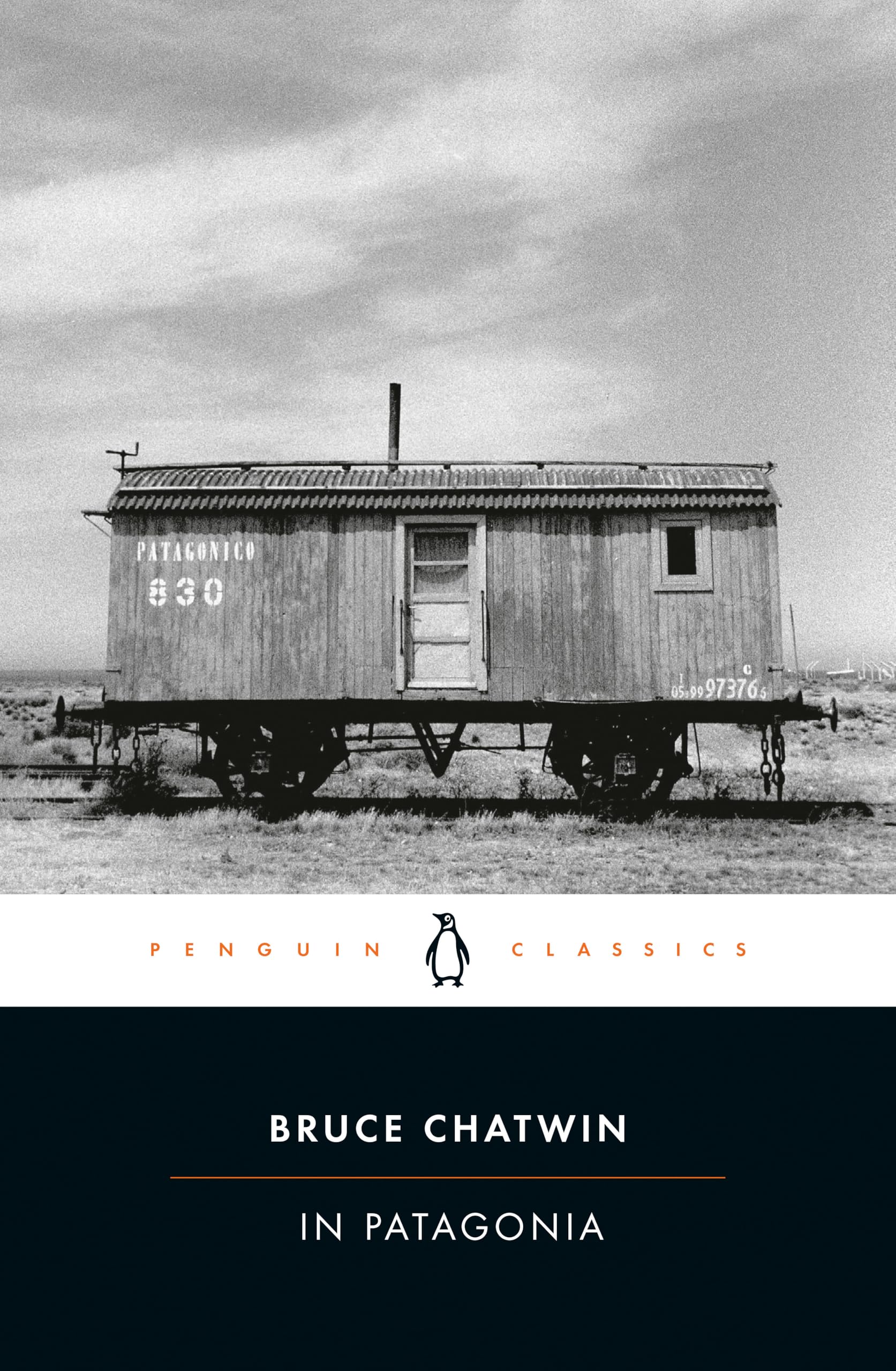 In Patagonia Politics & Society Books