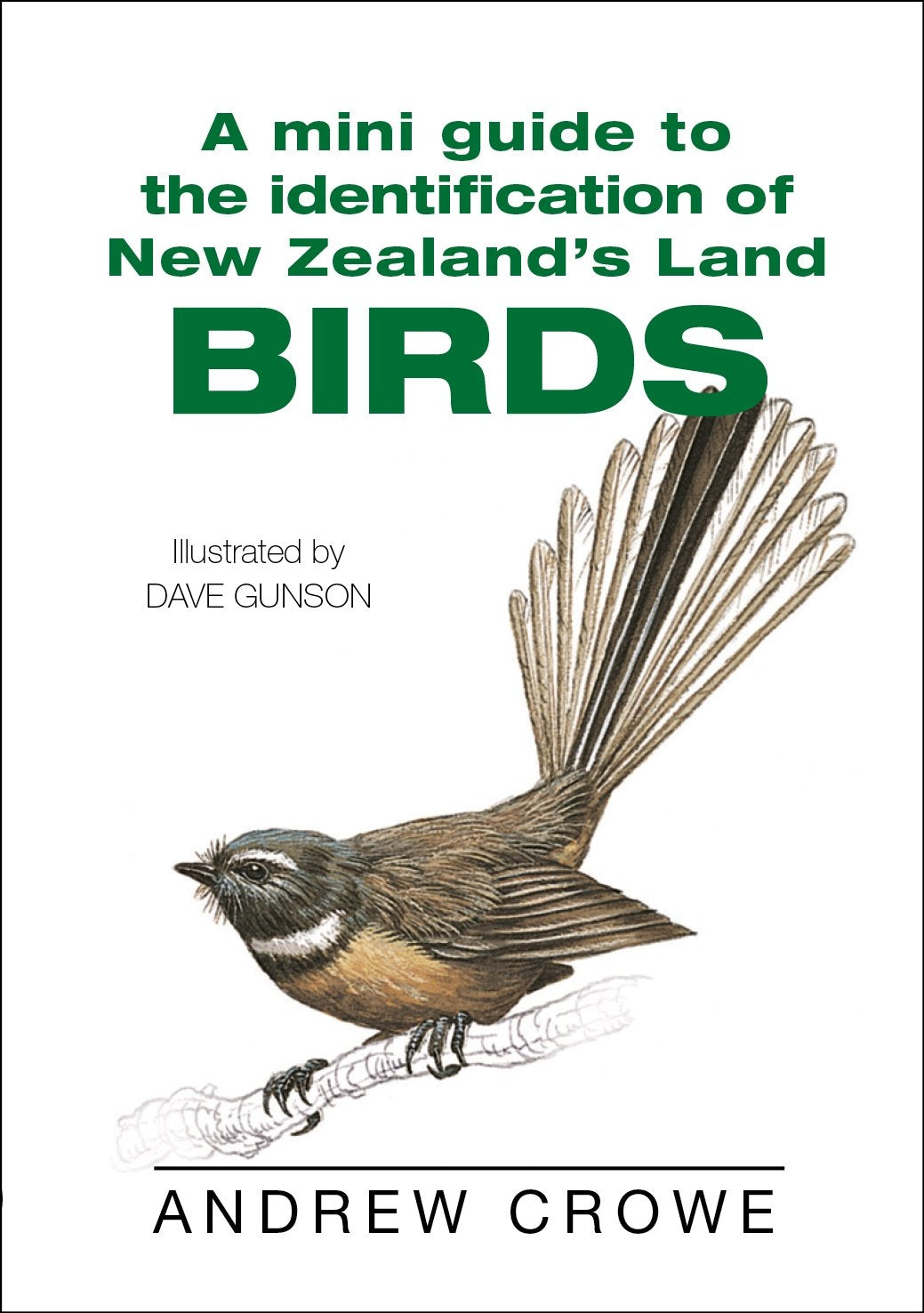 A Mini Guide to the Identification of New Zealand's Land Birds Mathematics
