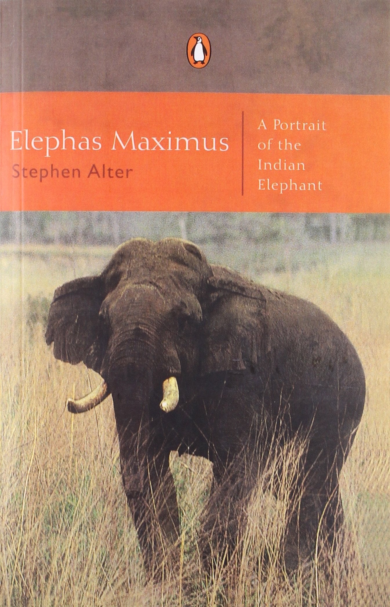Elephas Maximumus: A Portrait of the Indian Elephant Politics & History