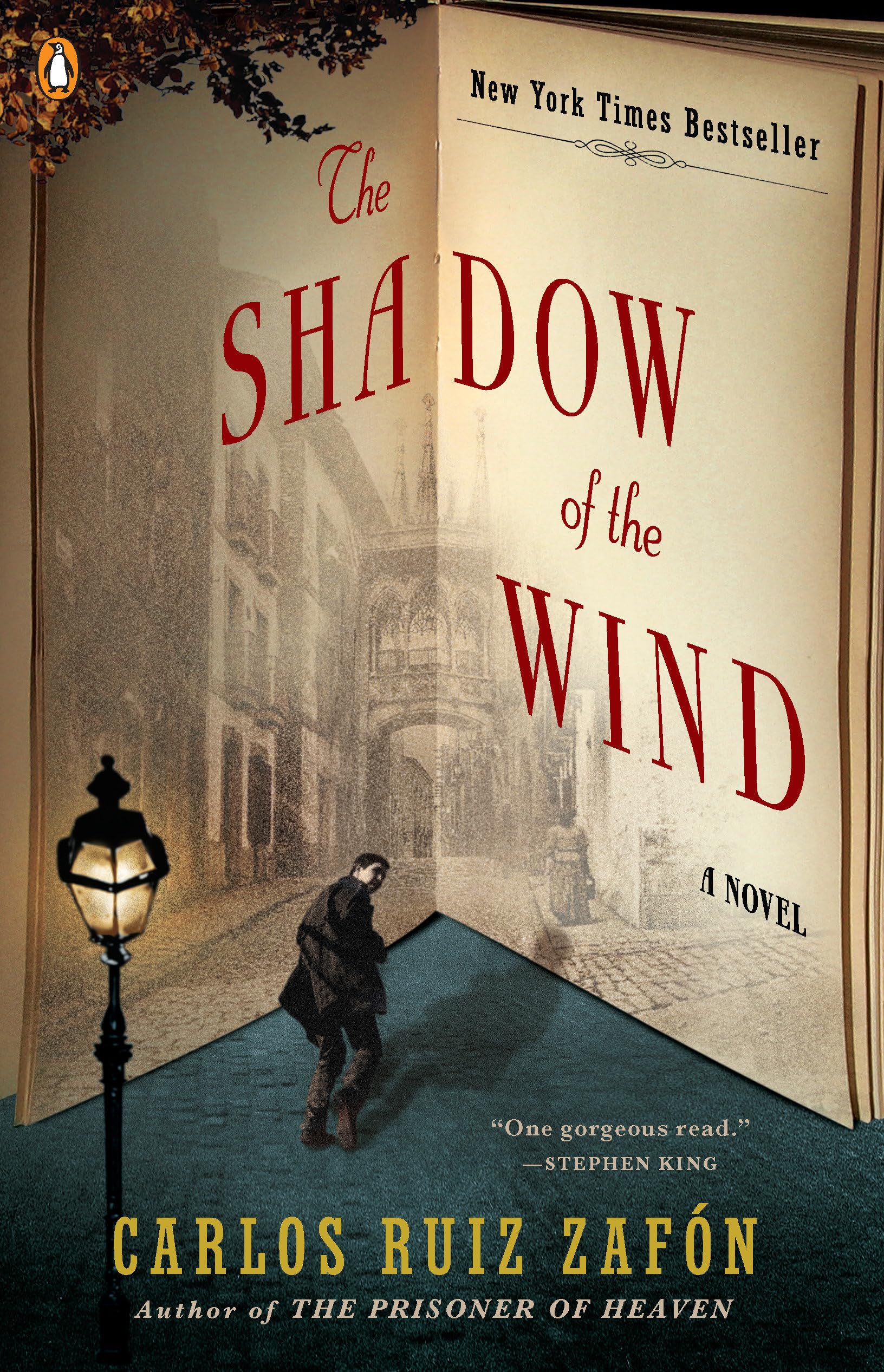 The Shadow of the Wind Contemporary literature