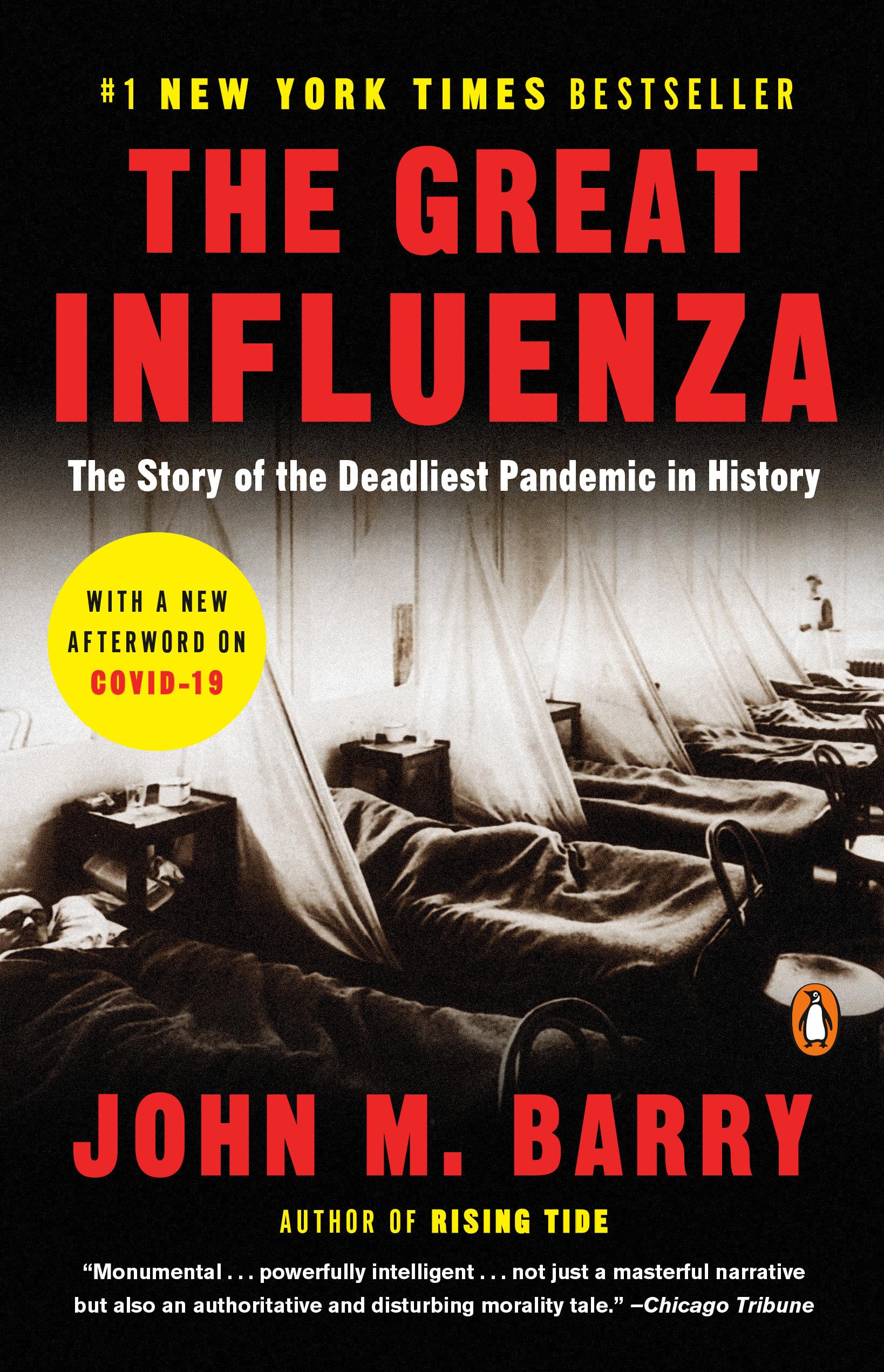 Product Image: The Great Influenza